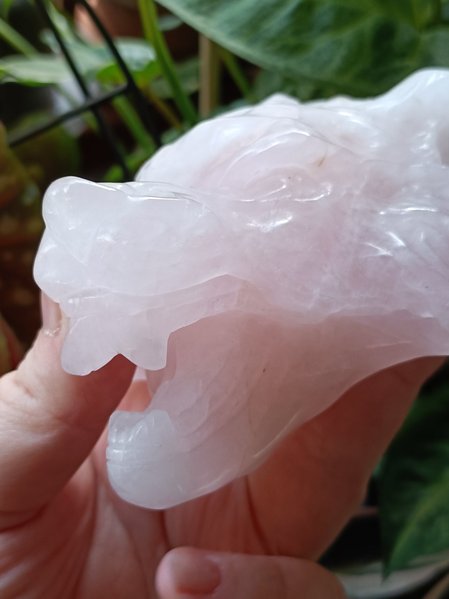 Rose Quartz Wolf Head Carving - 518g