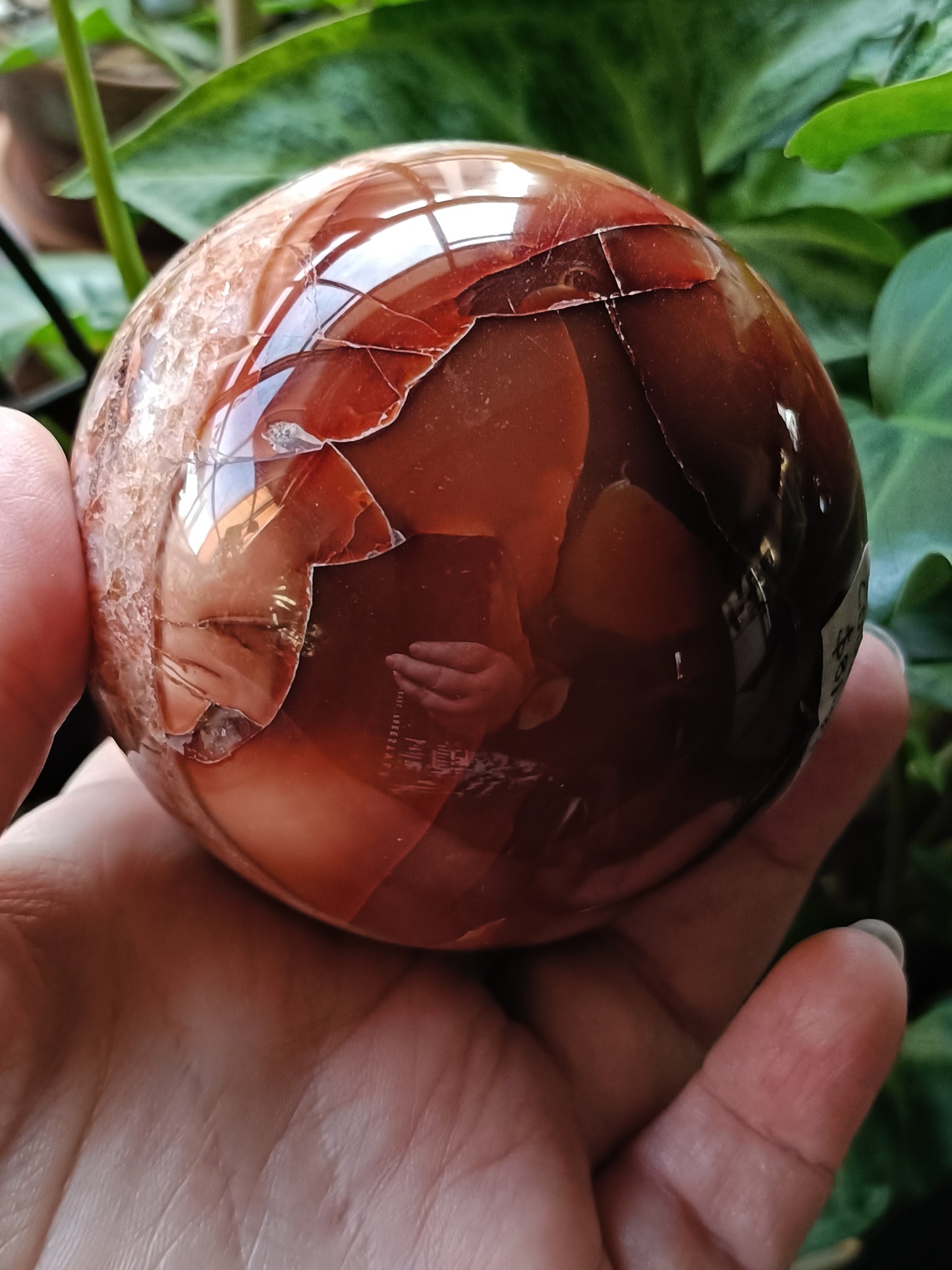 Carnelian Druzy Sphere - 619g