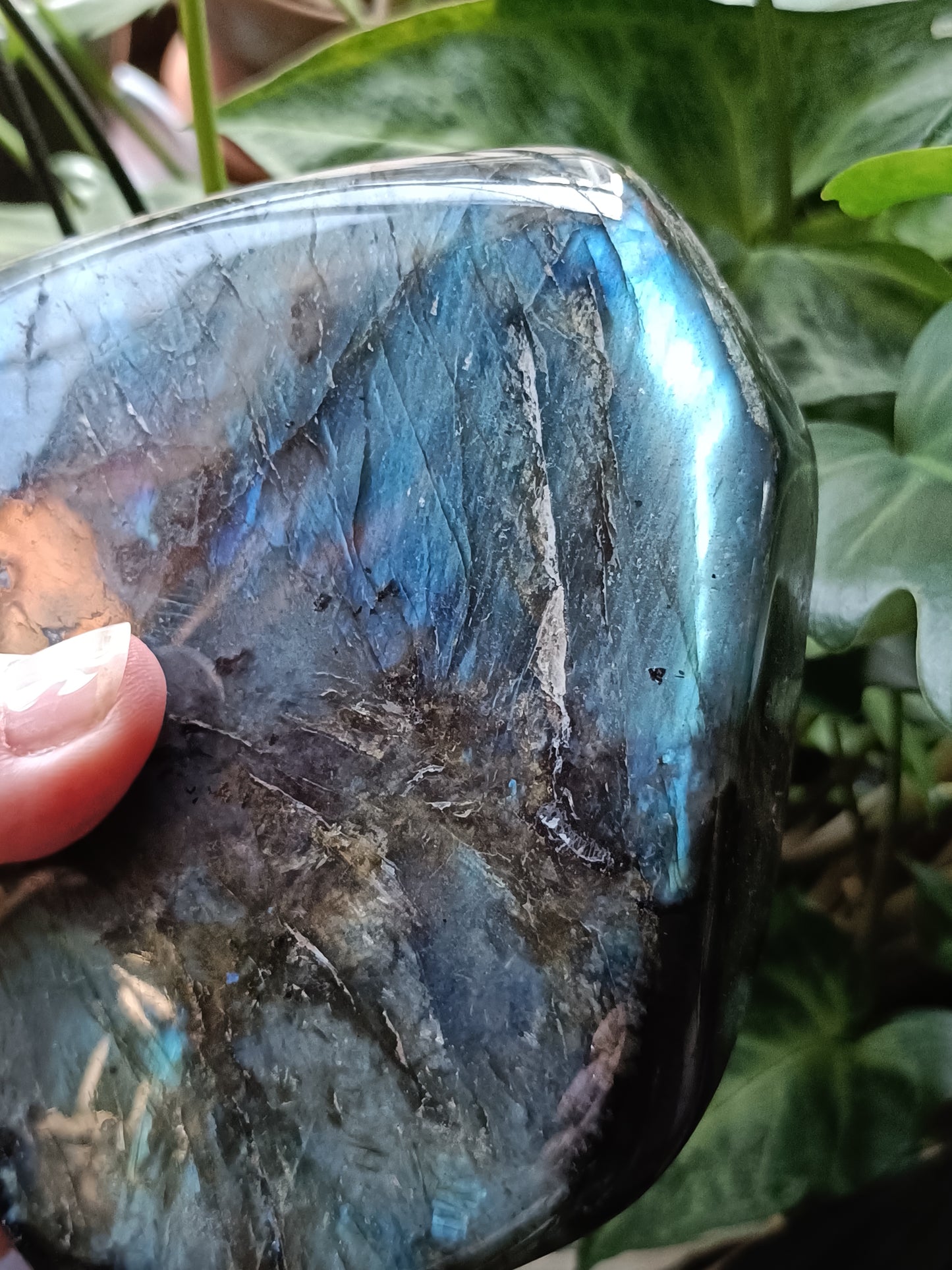 Labradorite Freeform Carving - 1489g