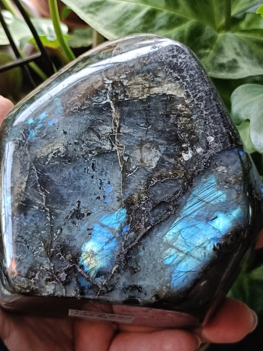 Labradorite Freeform Carving - 1489g