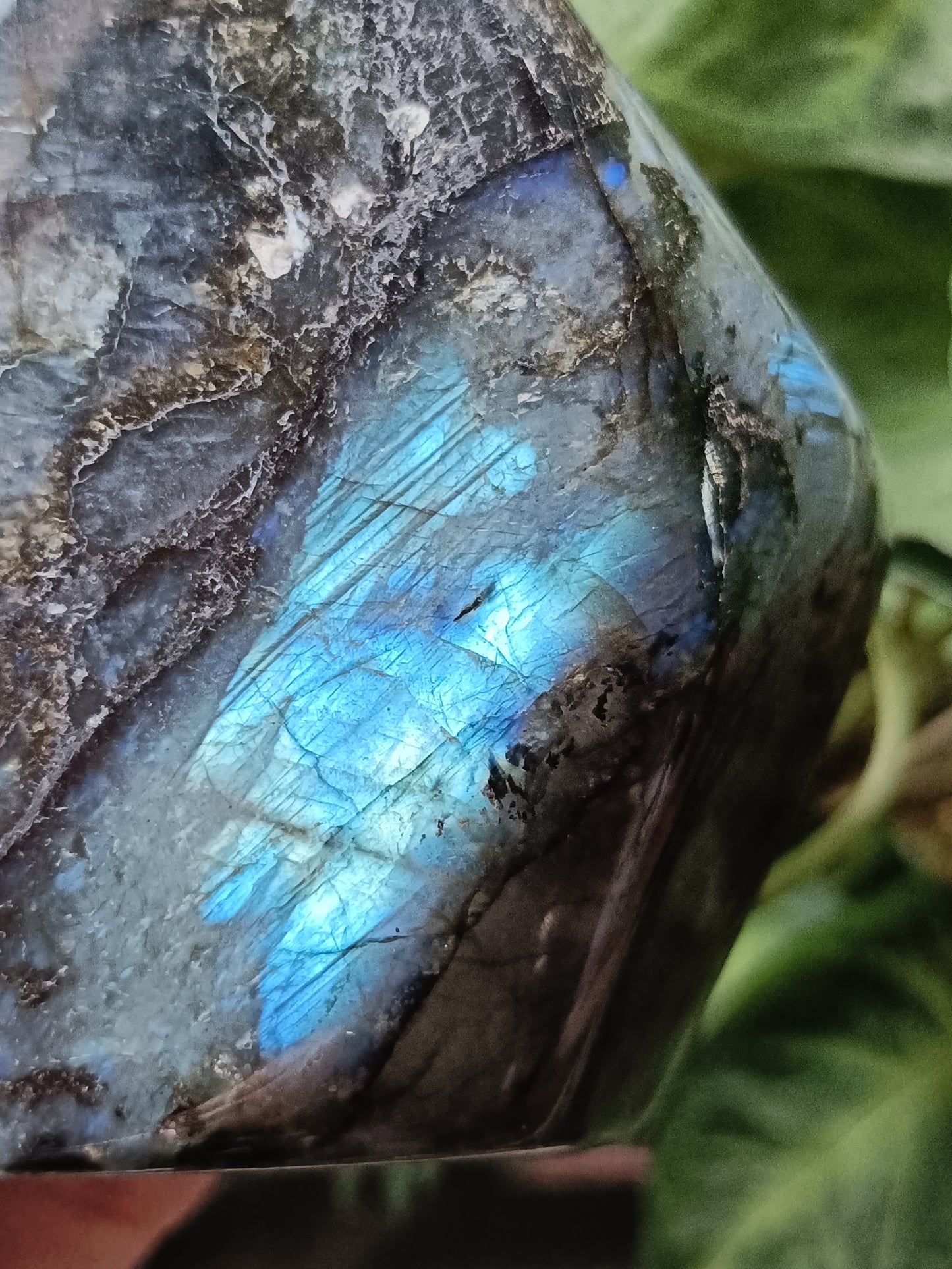 Labradorite Freeform Carving - 1489g