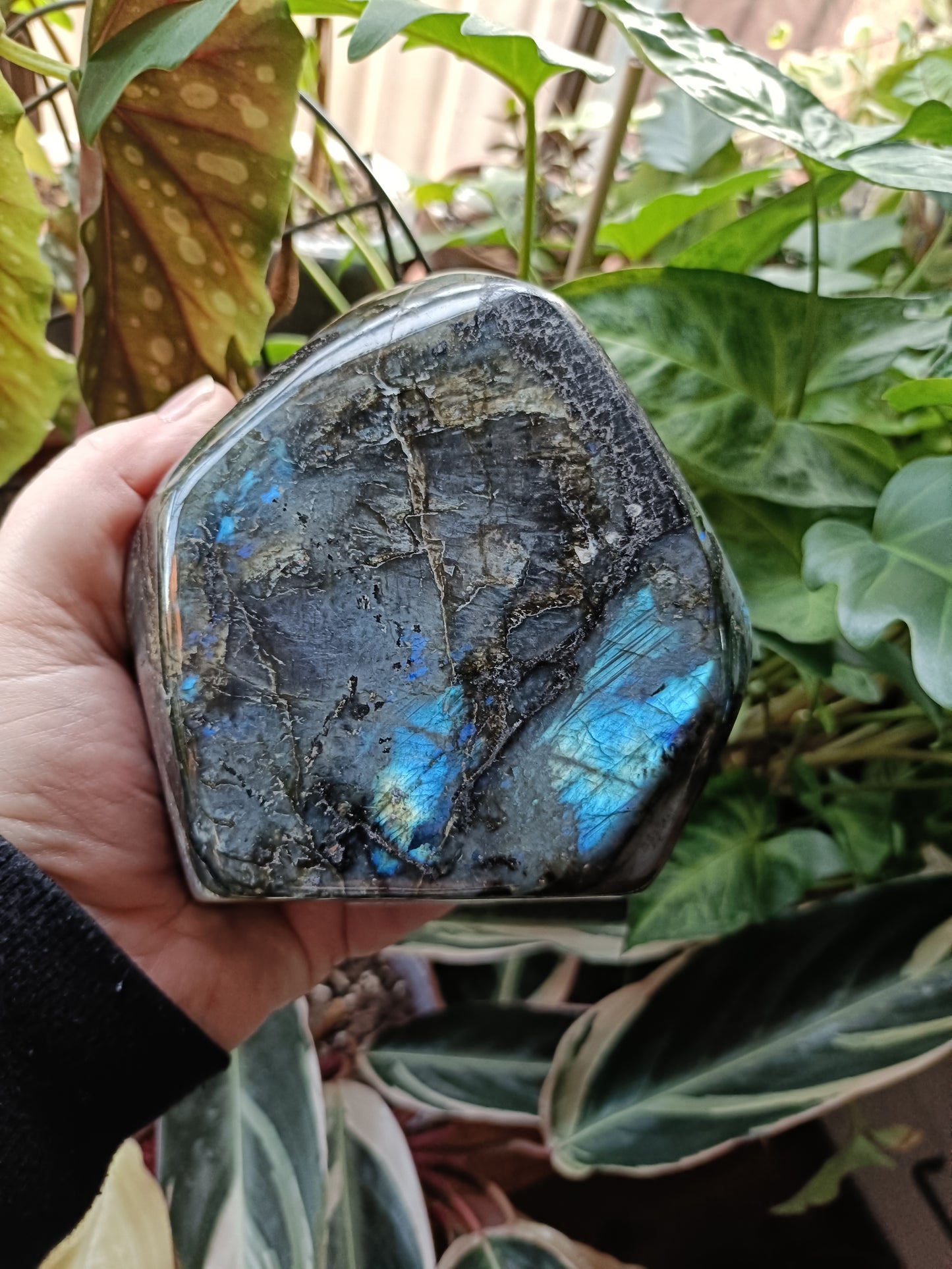 Labradorite Freeform Carving - 1489g
