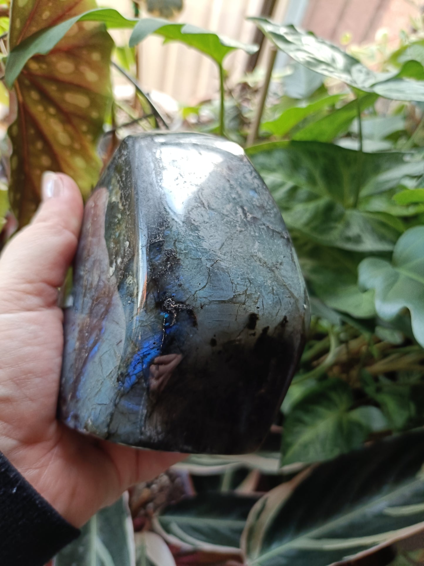 Labradorite Freeform Carving - 1489g
