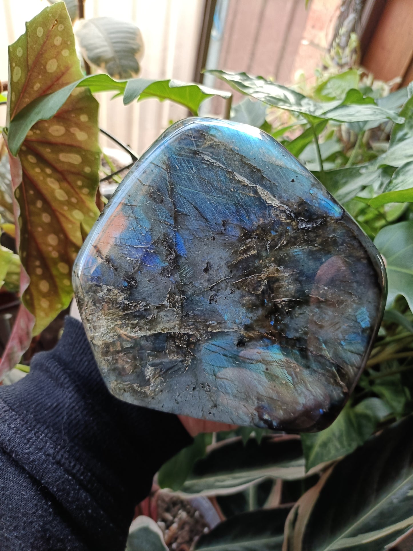 Labradorite Freeform Carving - 1489g