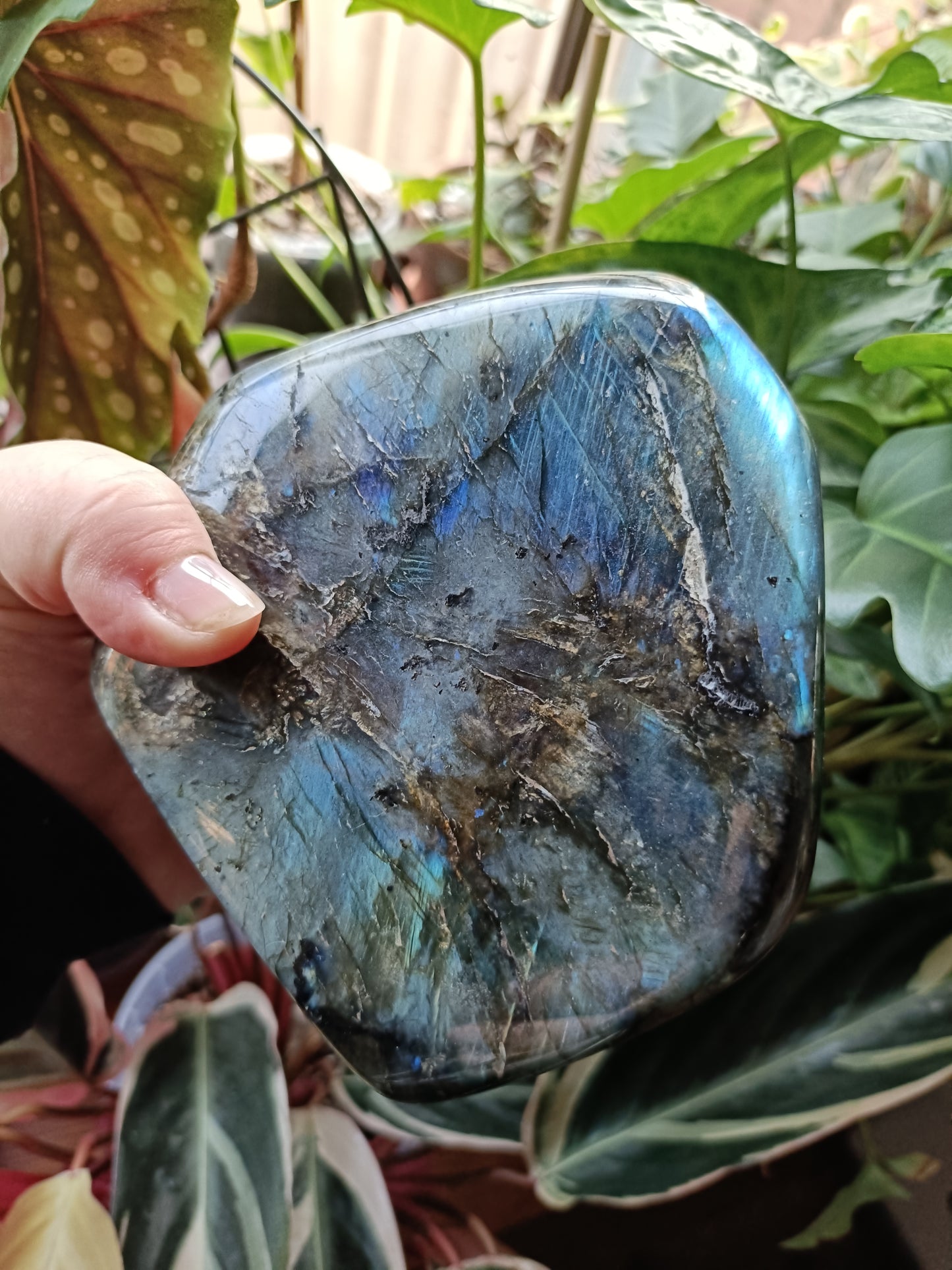 Labradorite Freeform Carving - 1489g
