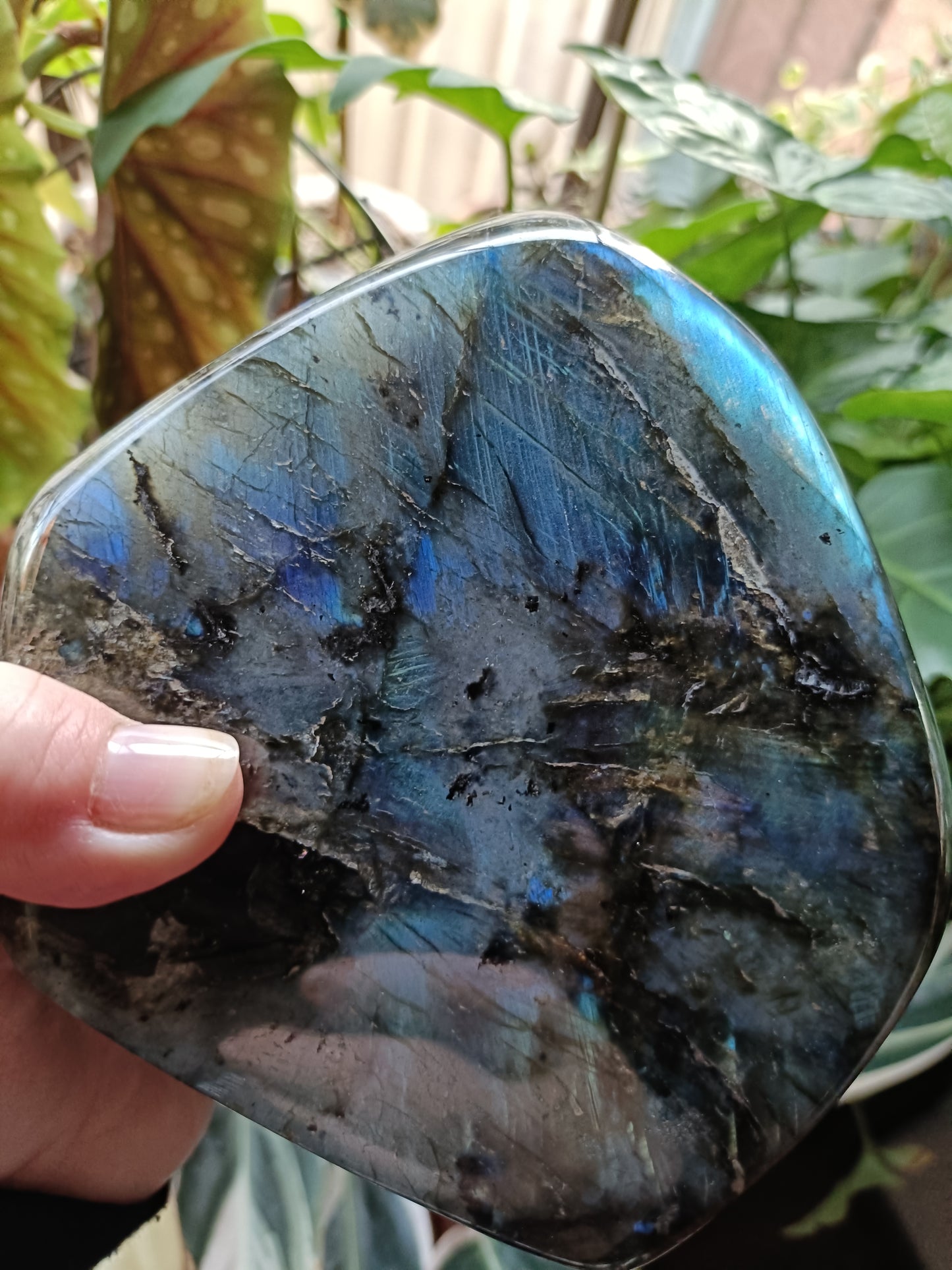 Labradorite Freeform Carving - 1489g