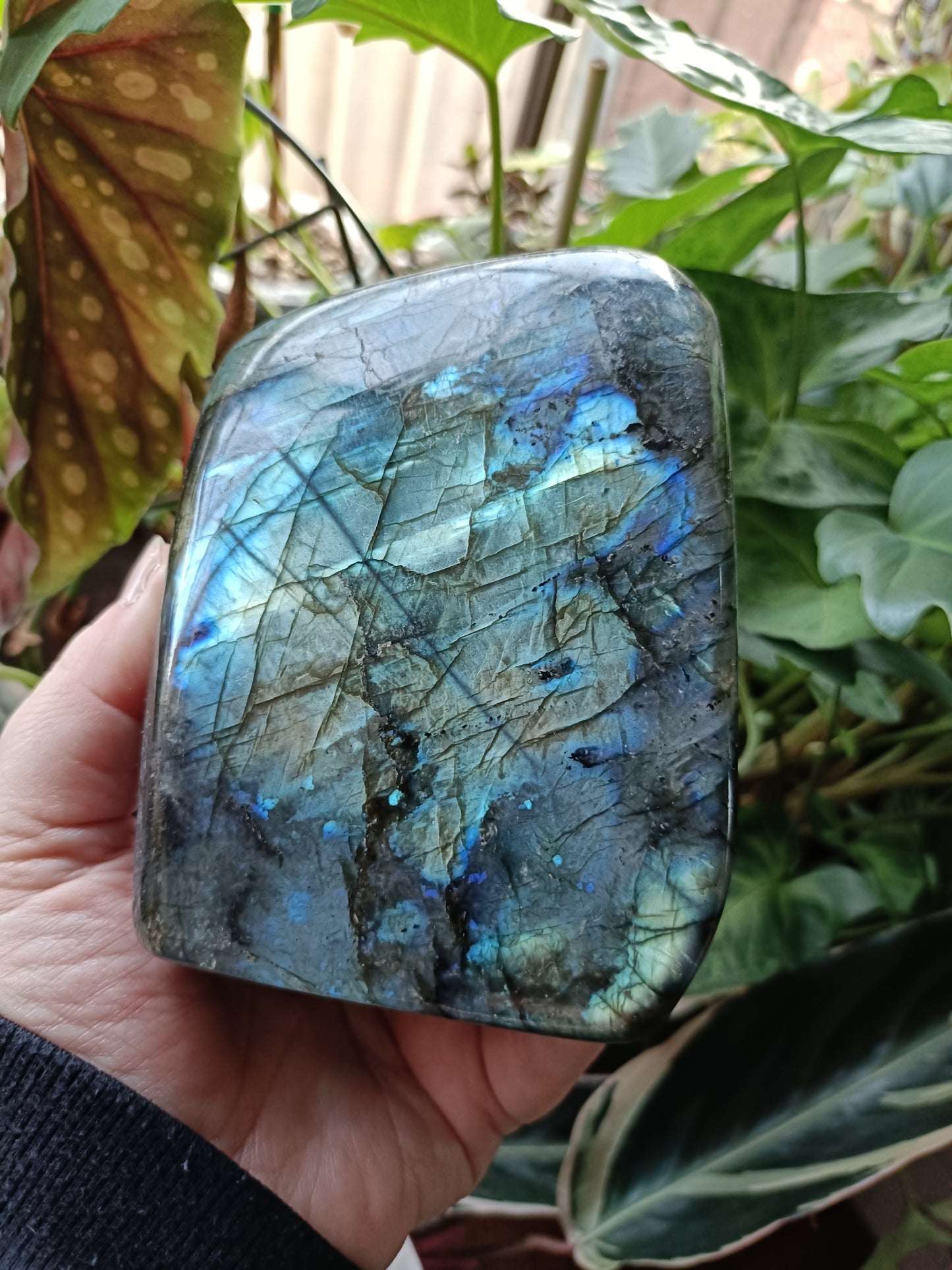 Labradorite Freeform Carving - 1183g
