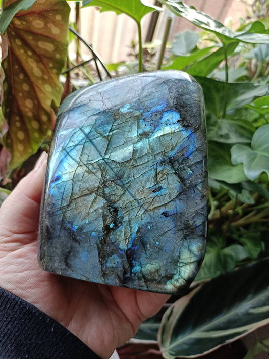 Labradorite Freeform Carving - 1183g