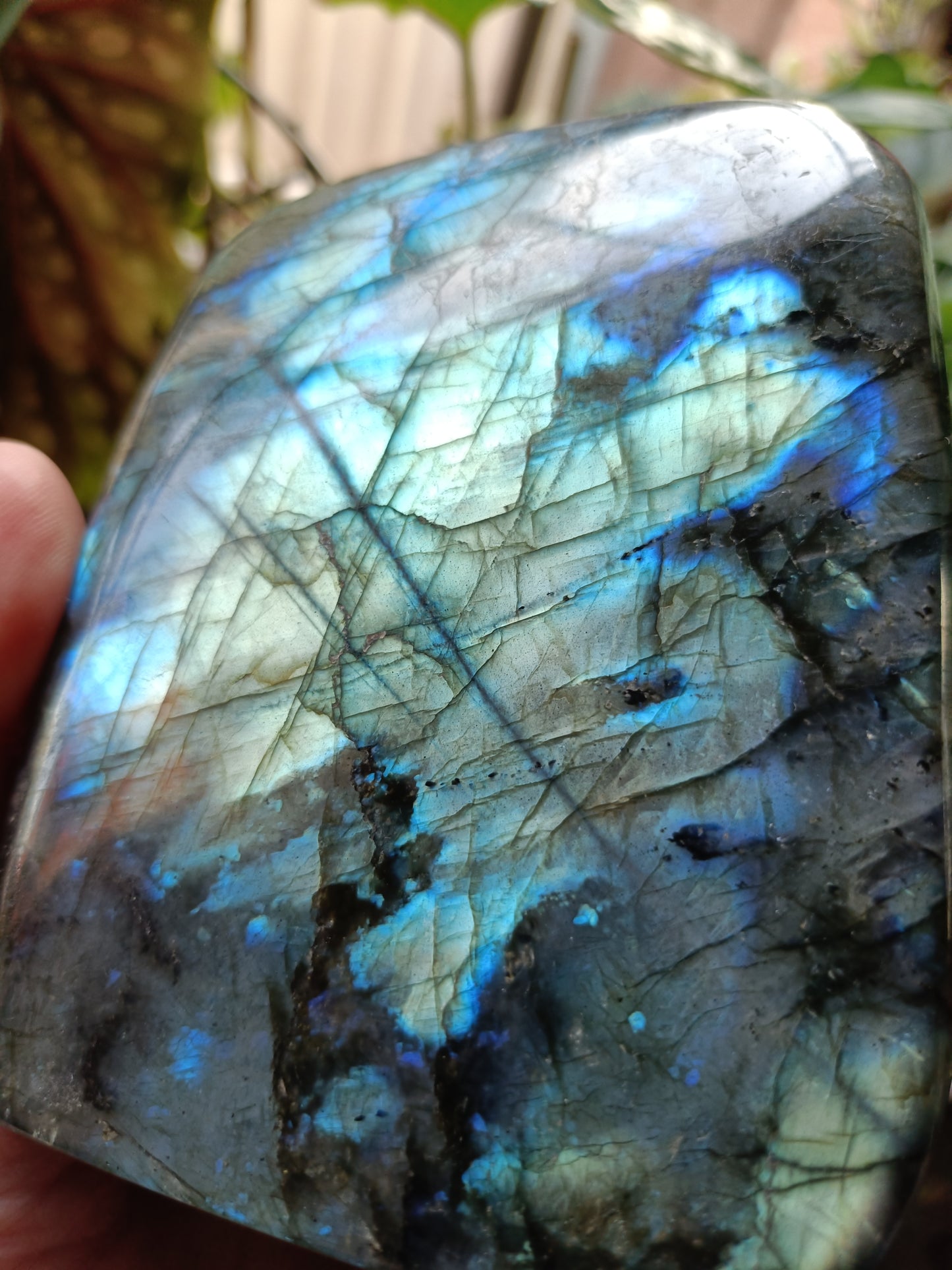 Labradorite Freeform Carving - 1183g