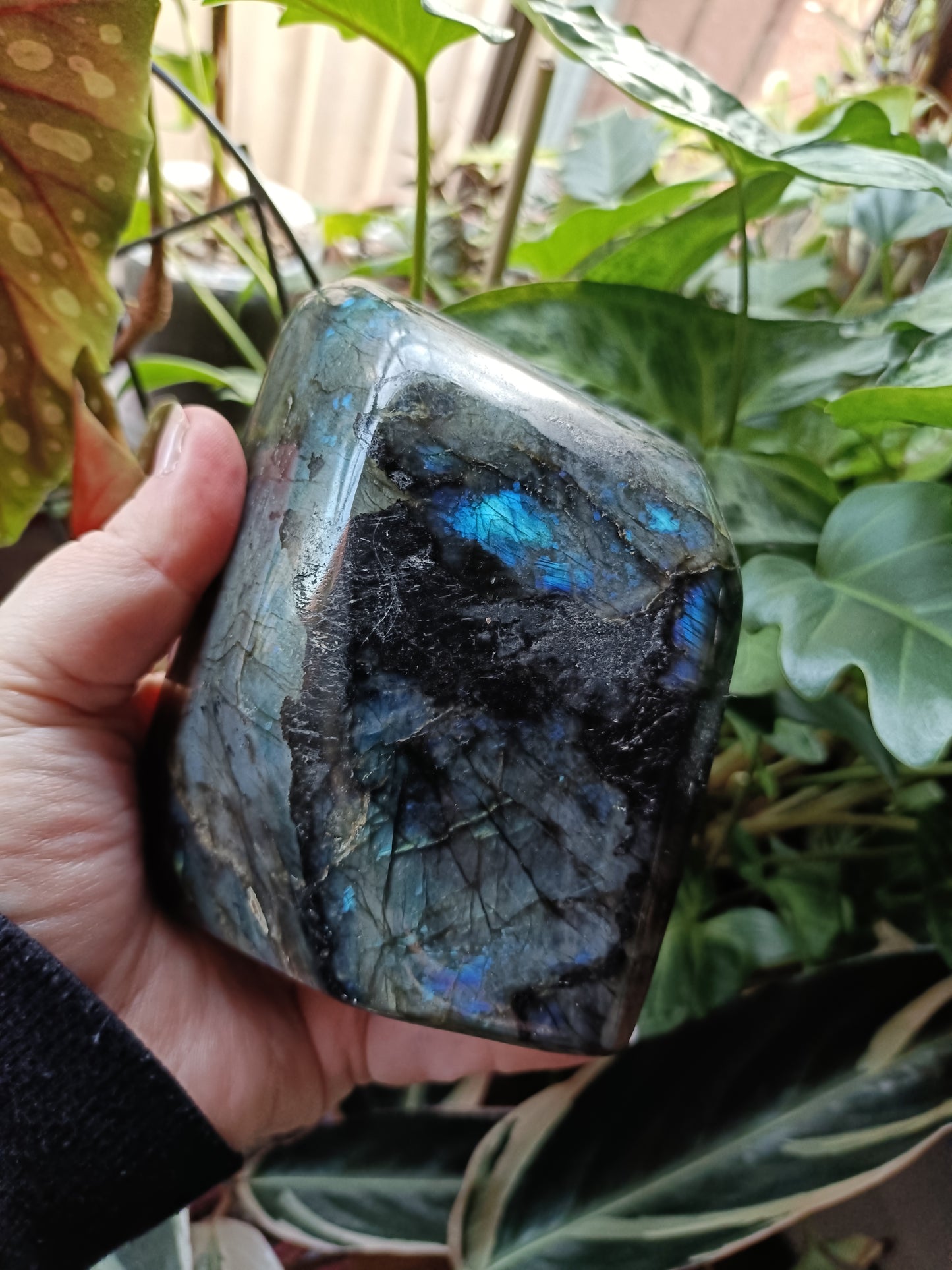 Labradorite Freeform Carving - 1183g