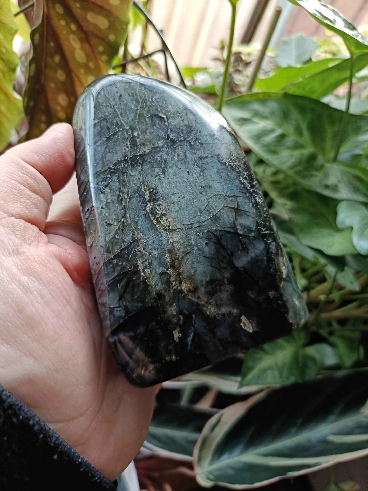 Labradorite Freeform Carving - 1183g