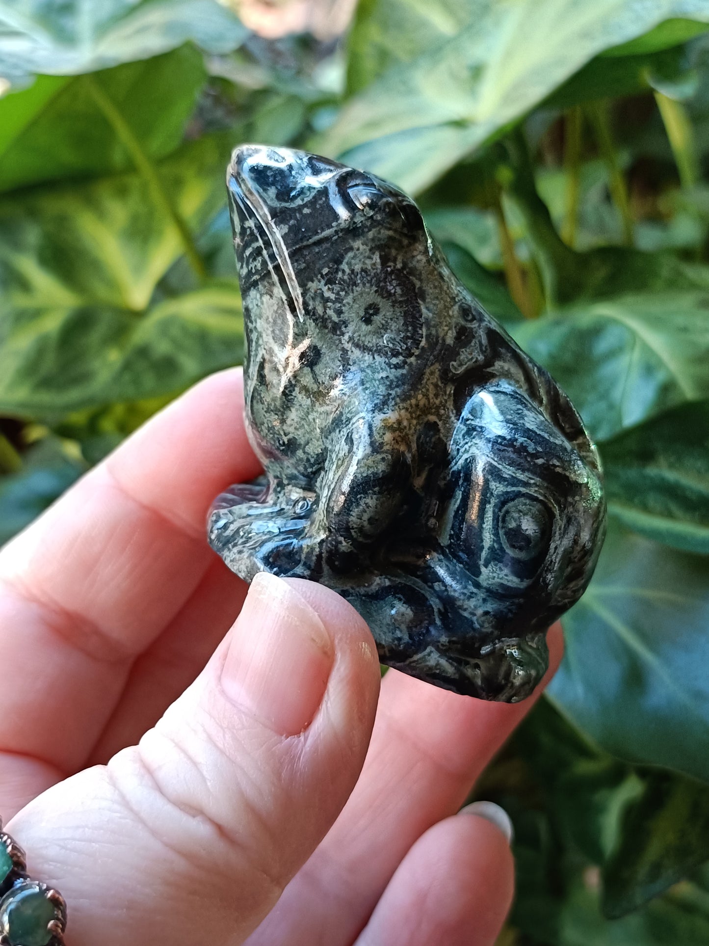 Kambaba Jasper Frog - 120-140g
