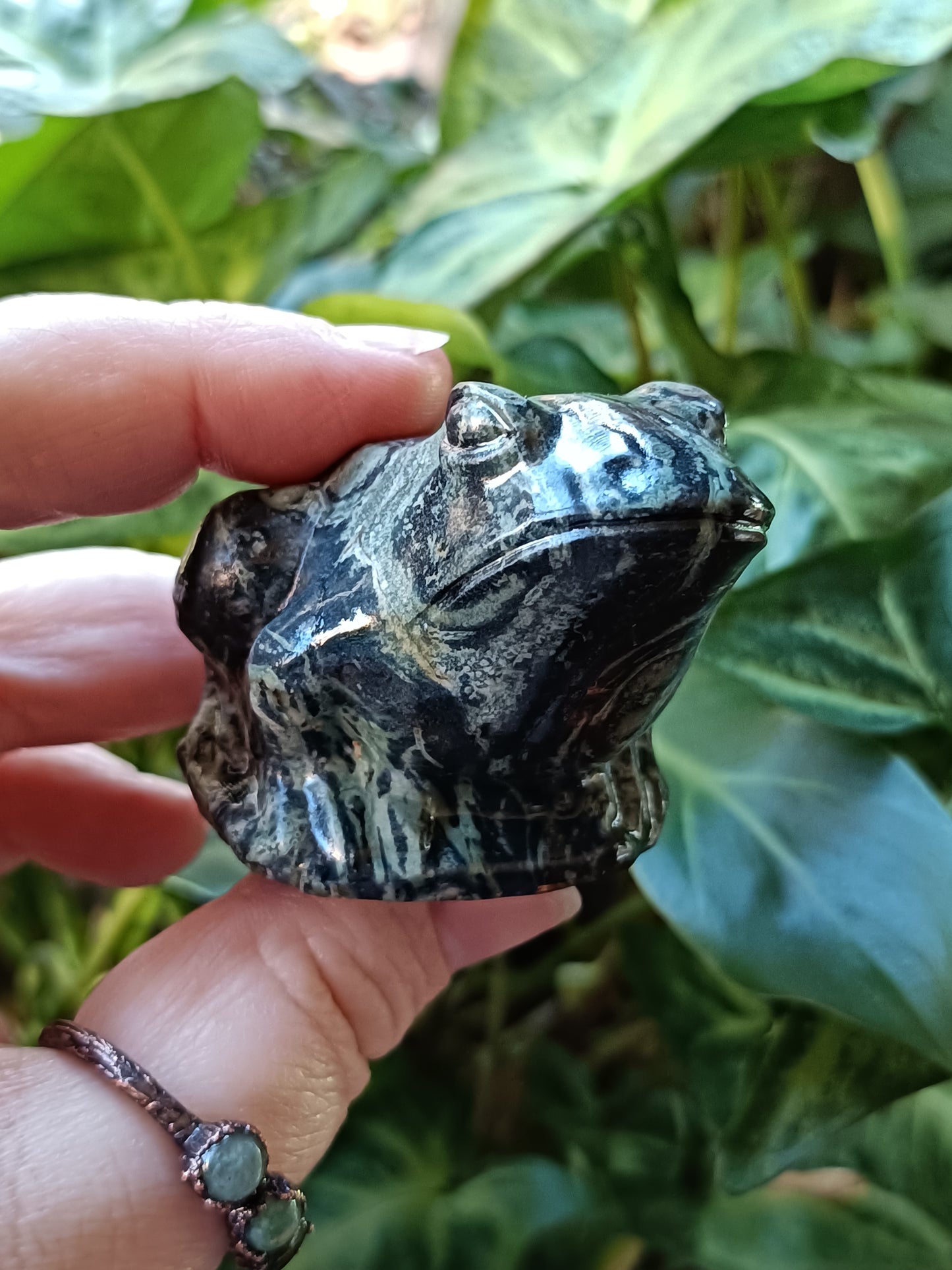 Kambaba Jasper Frog - 120-140g