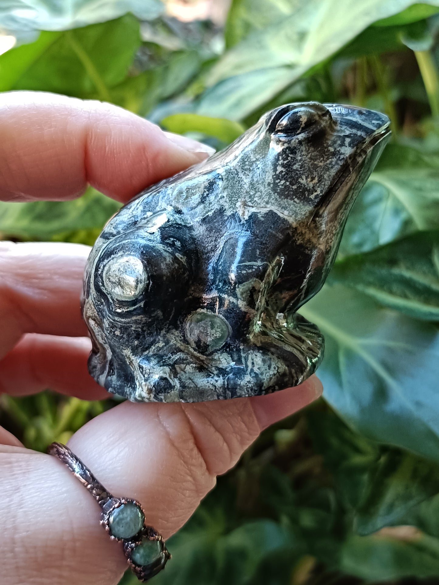 Kambaba Jasper Frog - 120-140g