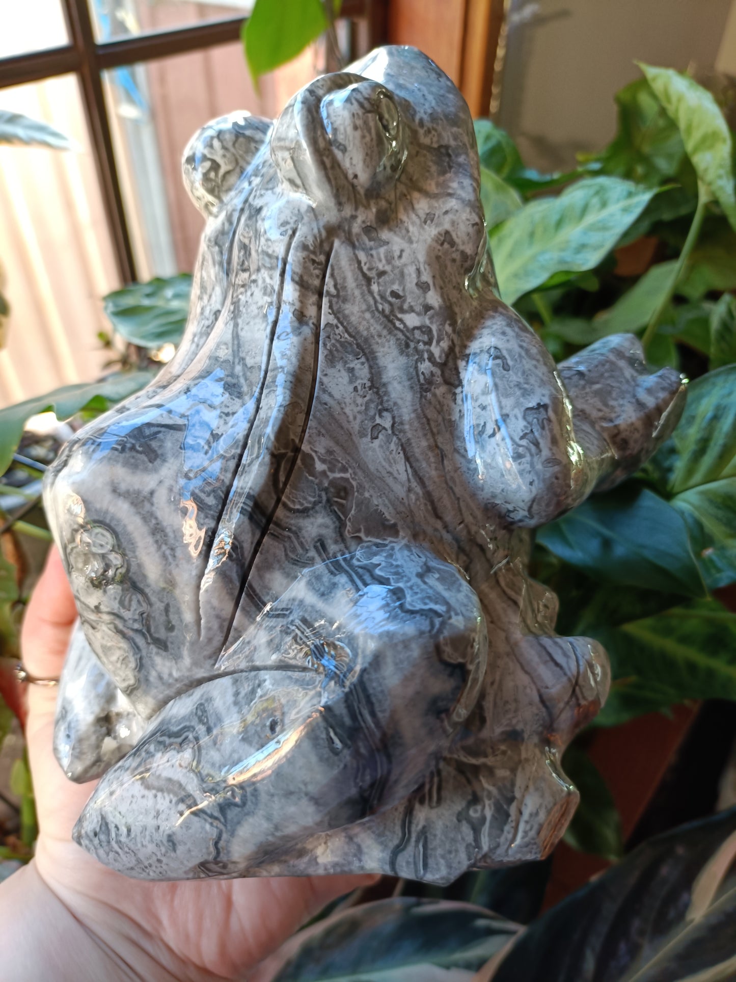 Picasso Jade Smiling Frog - 3.46kg