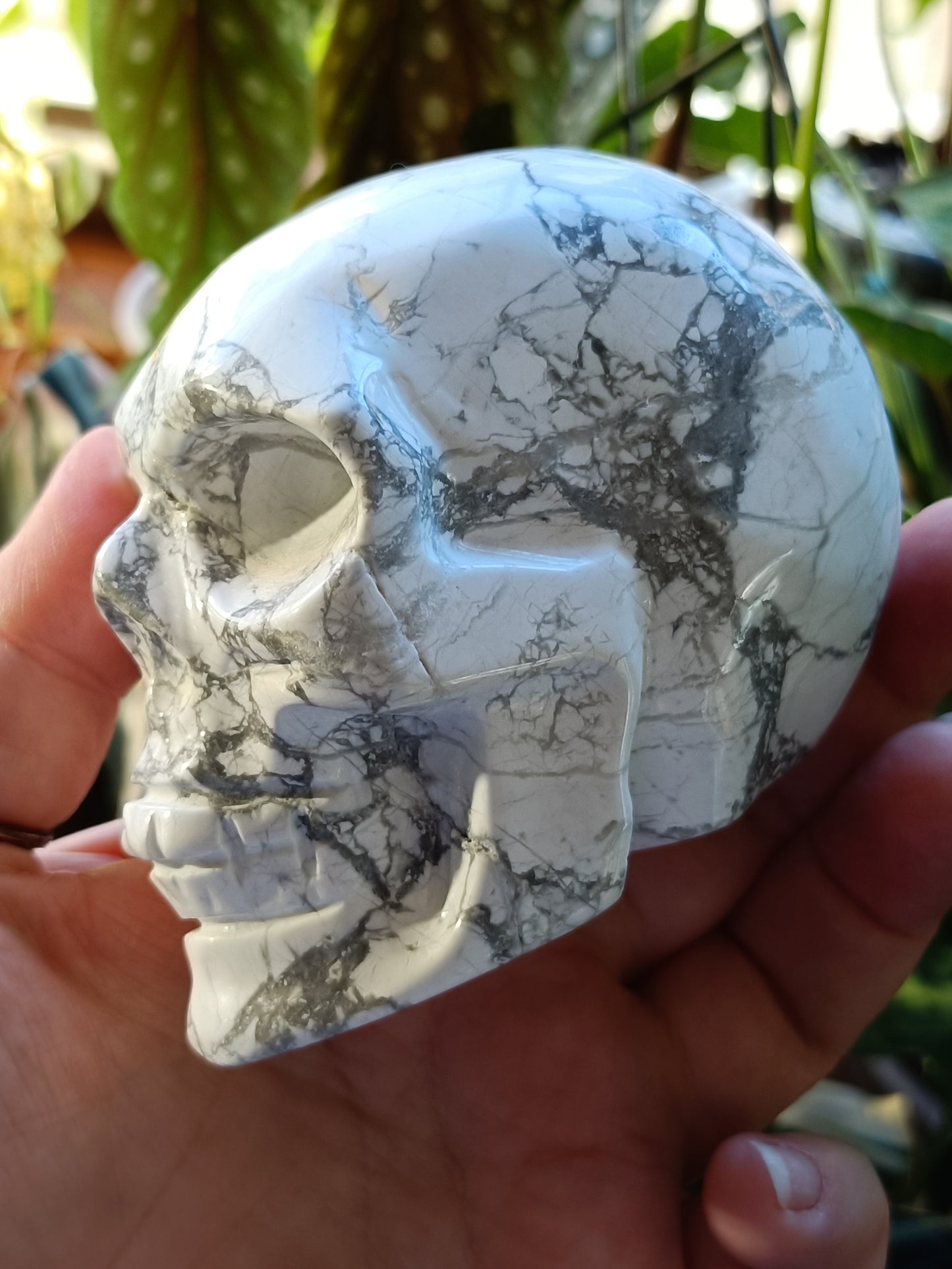 Howlite Skull Carving - 684g