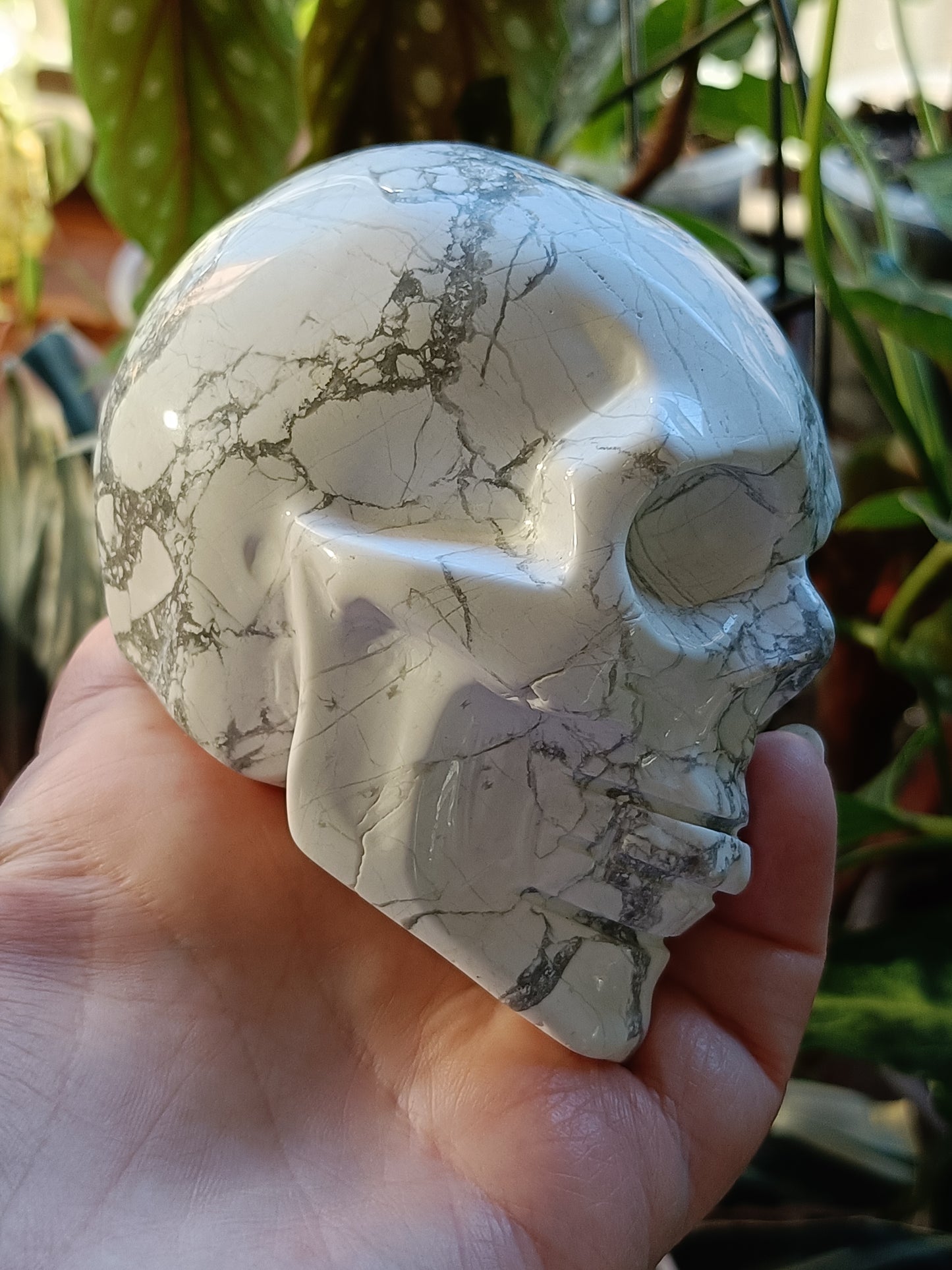 Howlite Skull Carving - 684g