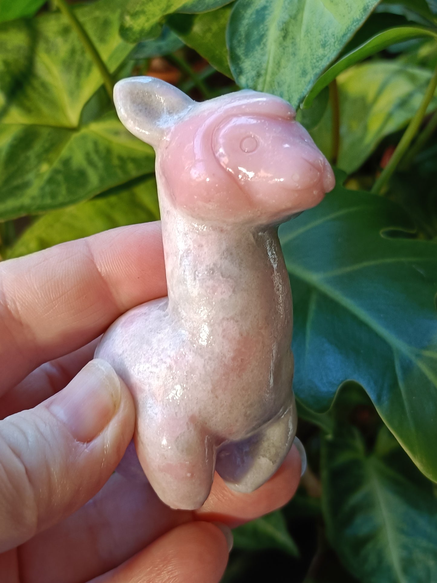 Pink Opal Alpaca Carving - 143g