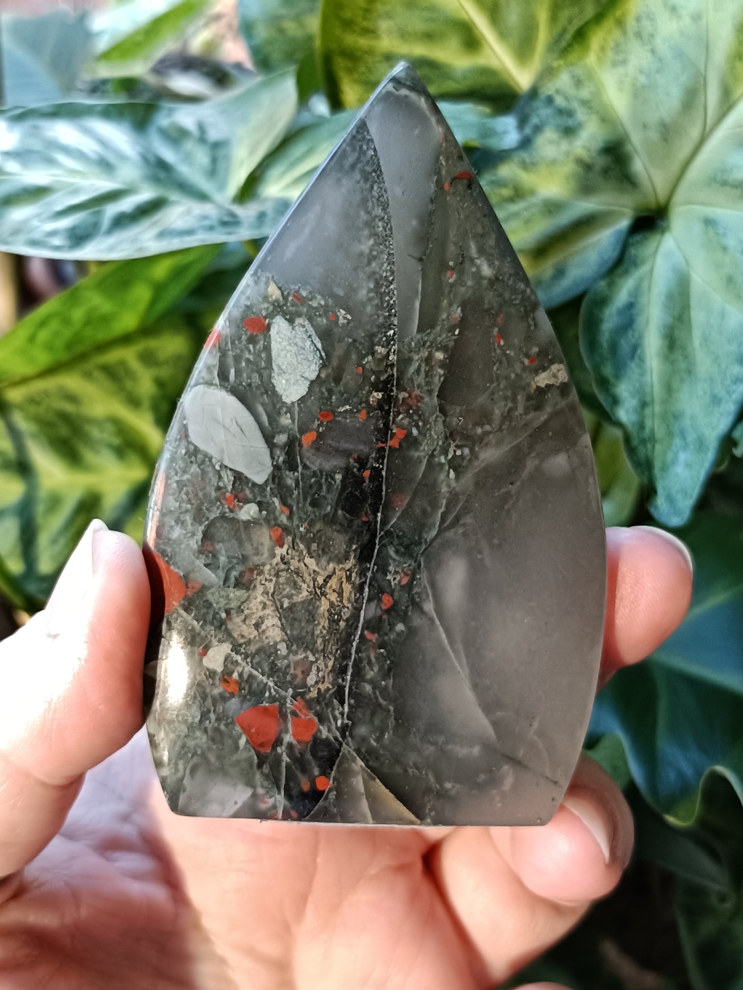 African Bloodstone Teardrop Carving - 185g