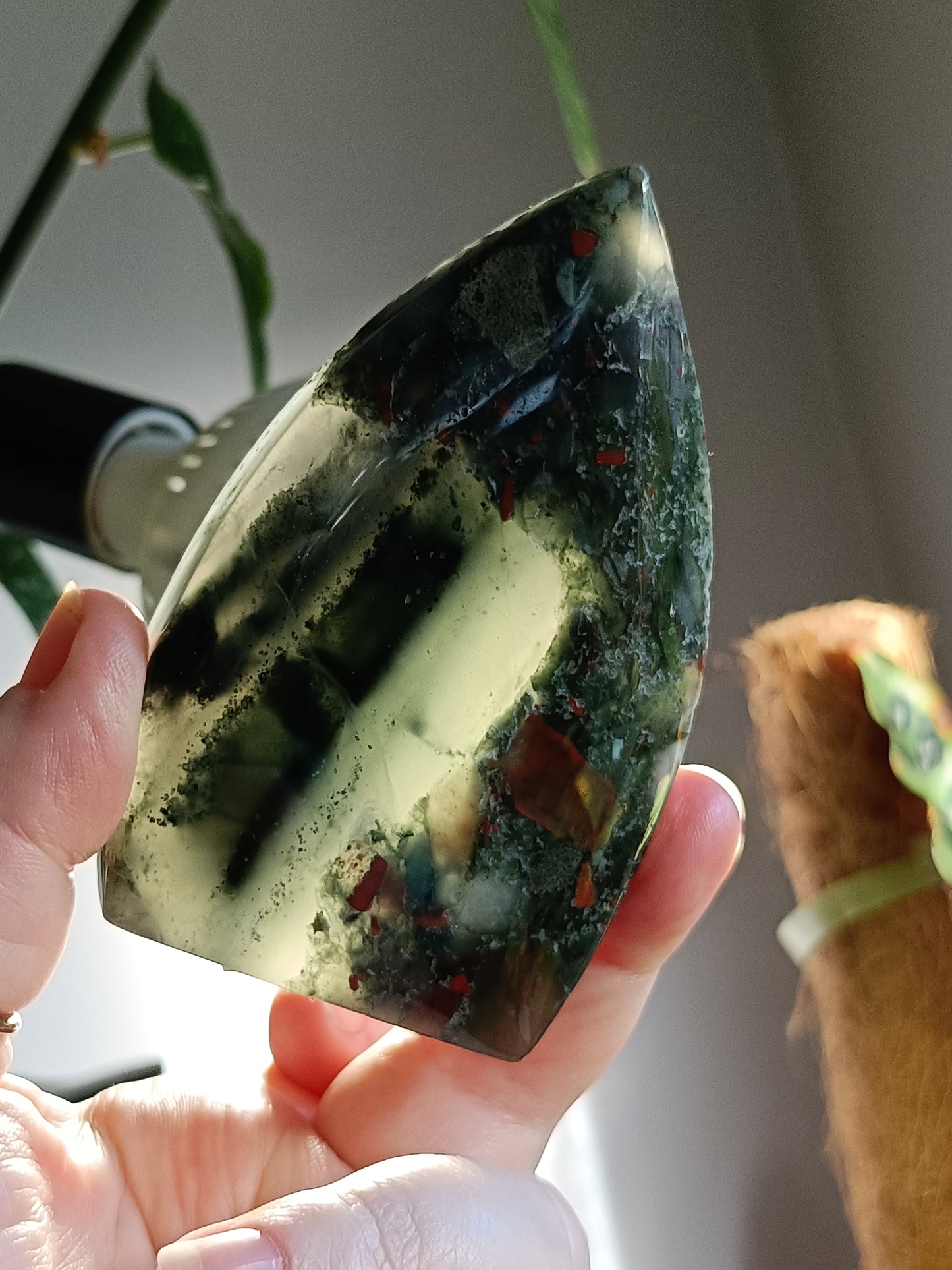 African Bloodstone Teardrop Carving - 226g