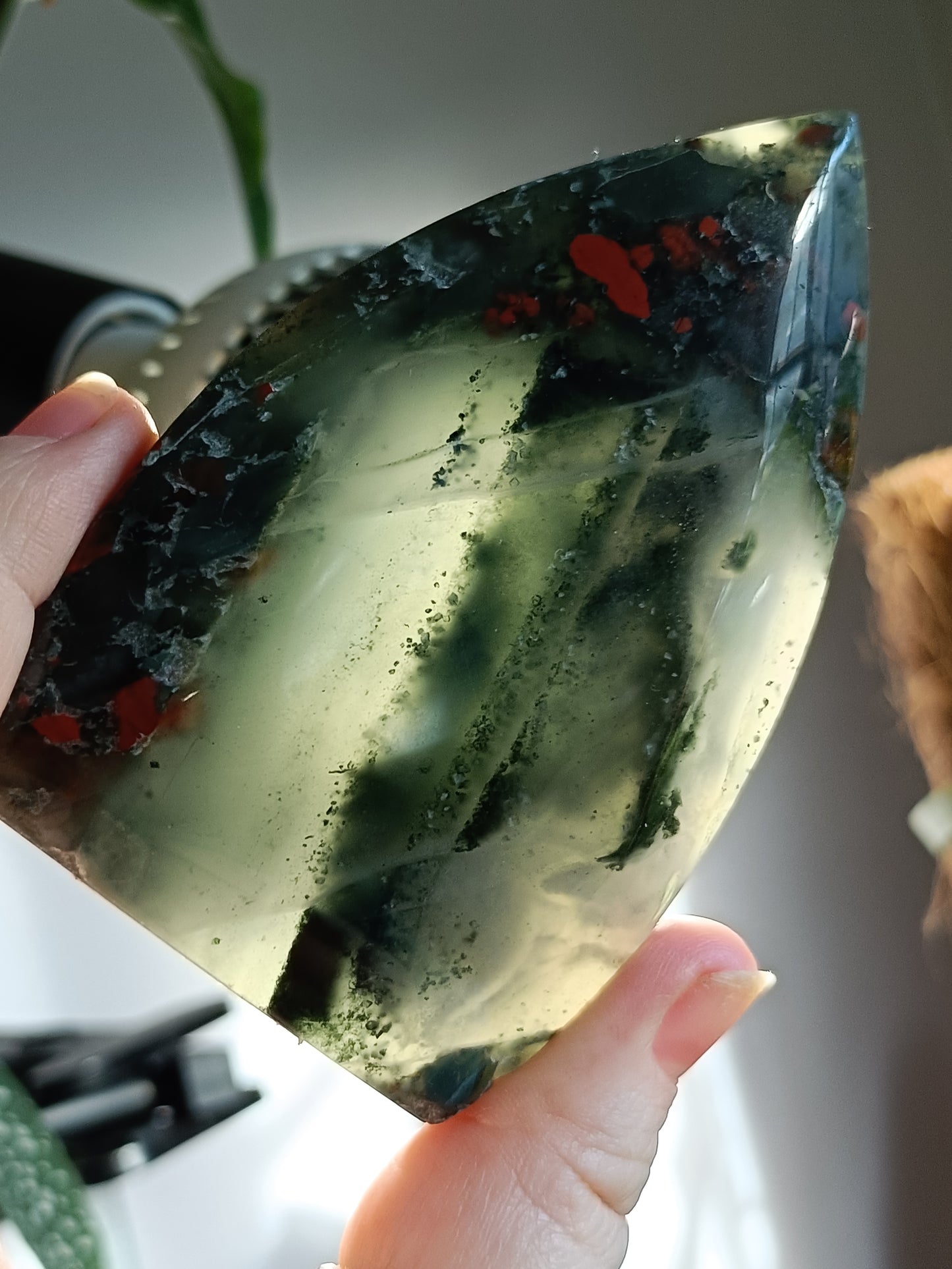 African Bloodstone Teardrop Carving - 226g