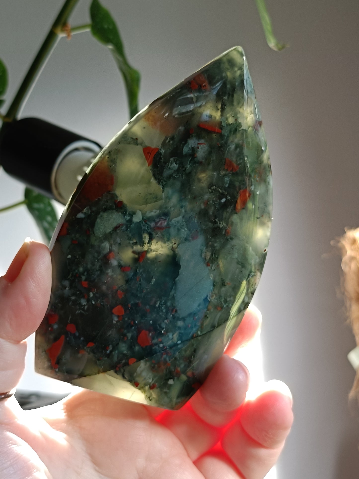 African Bloodstone Teardrop Carving - 243g