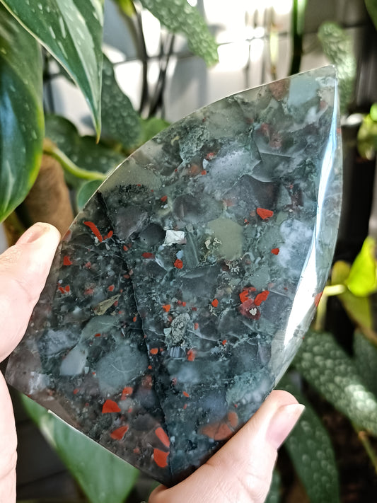 African Bloodstone Teardrop Carving - 243g