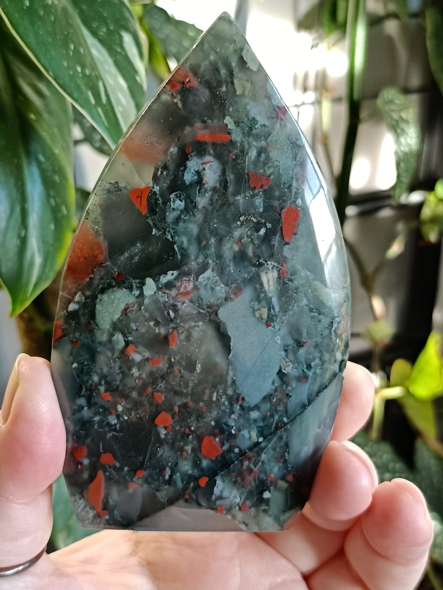 African Bloodstone Teardrop Carving - 243g