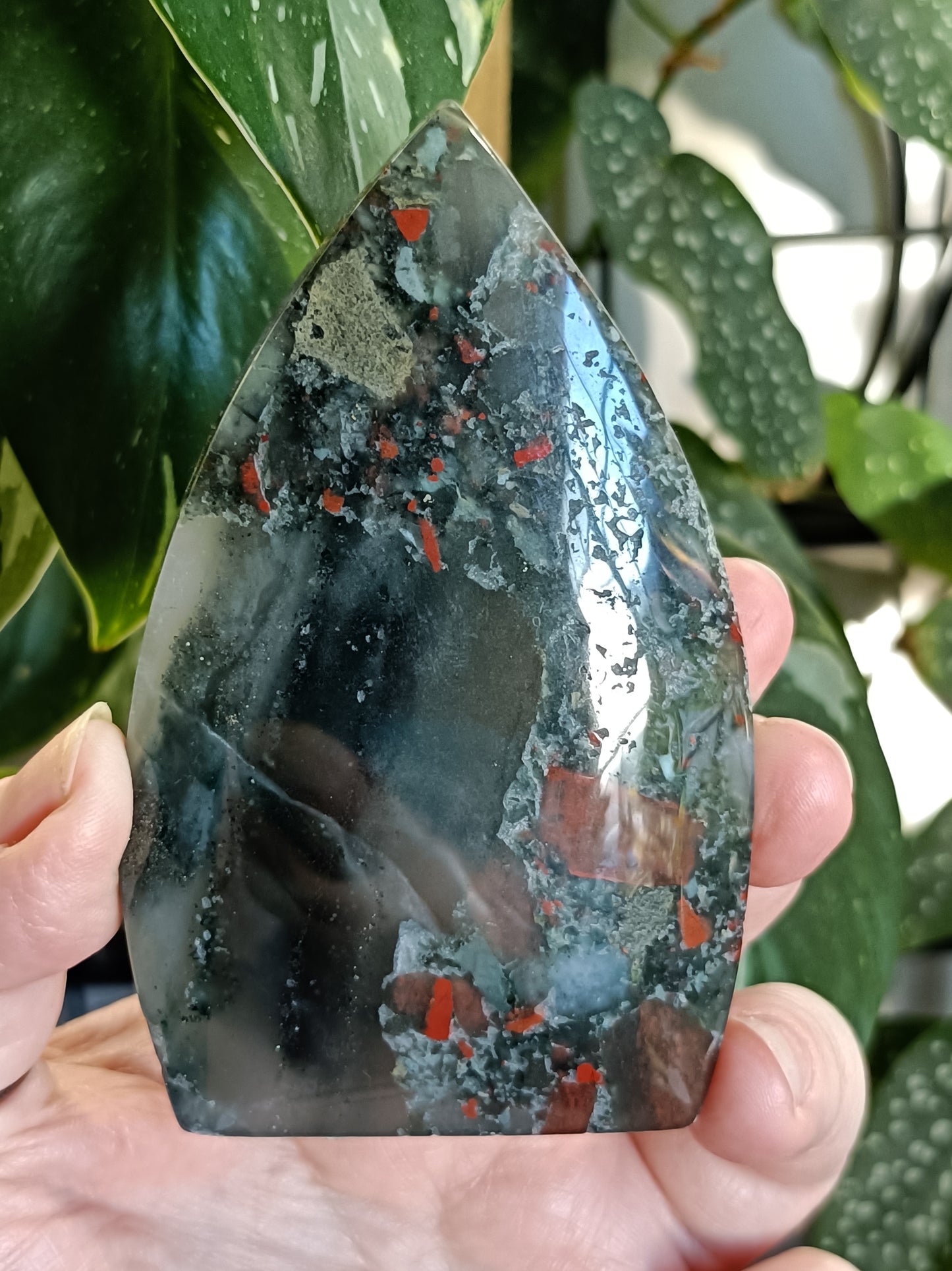 African Bloodstone Teardrop Carving - 226g