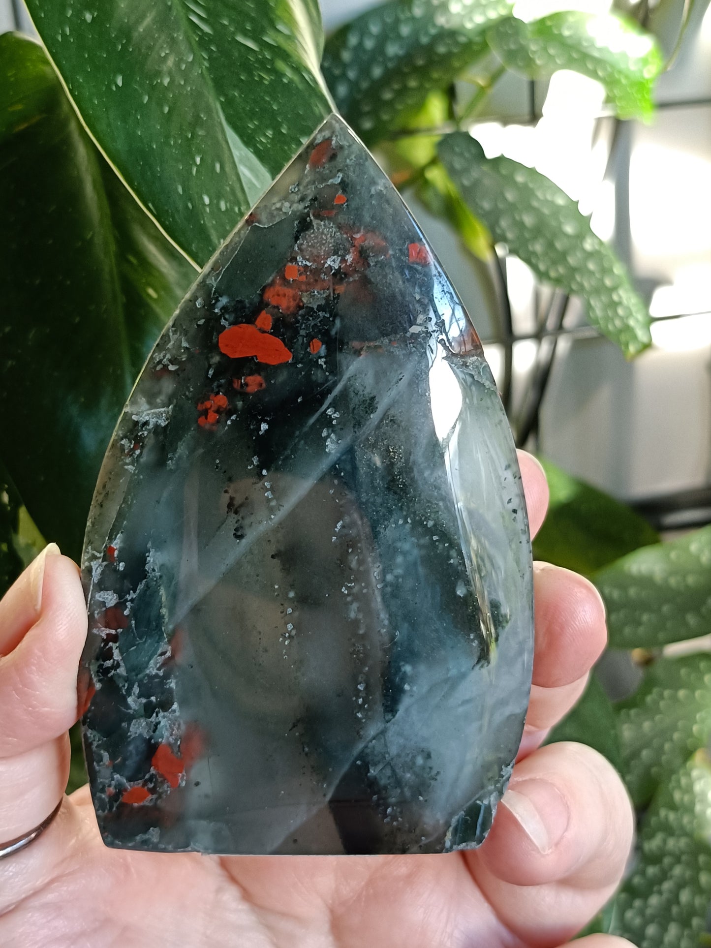 African Bloodstone Teardrop Carving - 226g