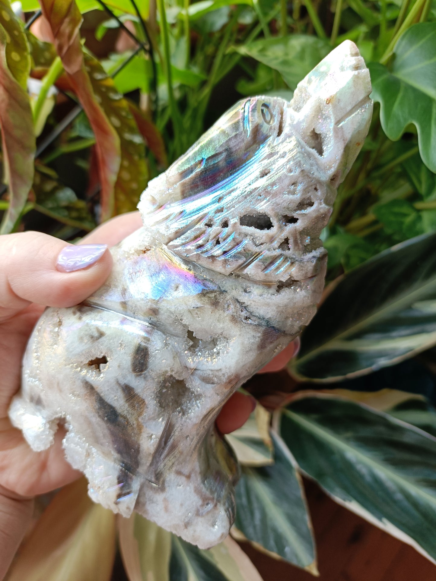 Aura Coated Brecciated Quartz Chalcedony Wolf - 668g