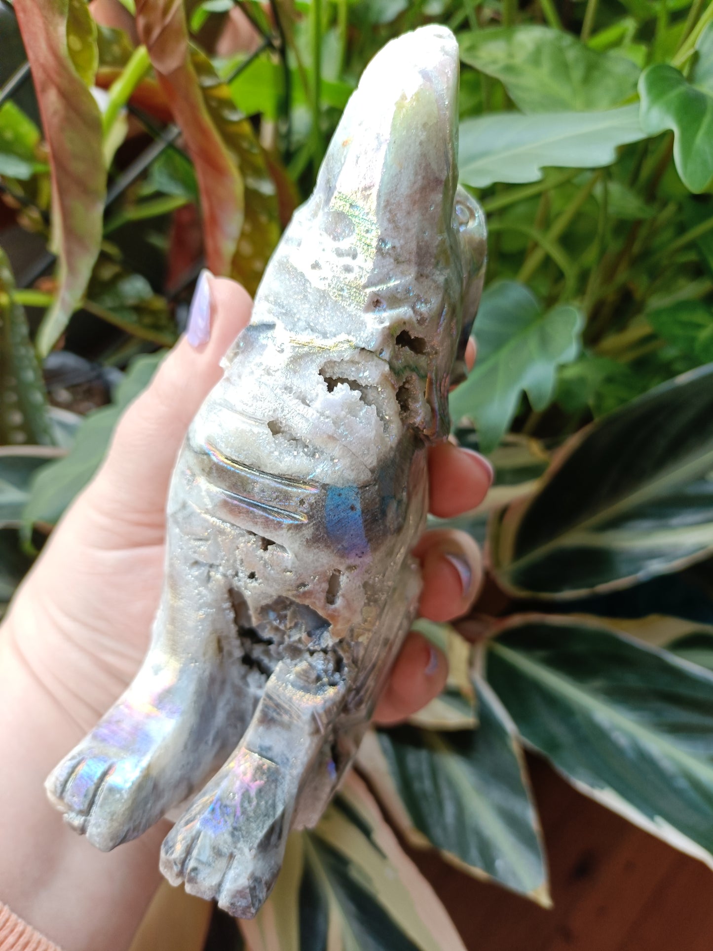Aura Coated Brecciated Quartz Chalcedony Wolf - 668g