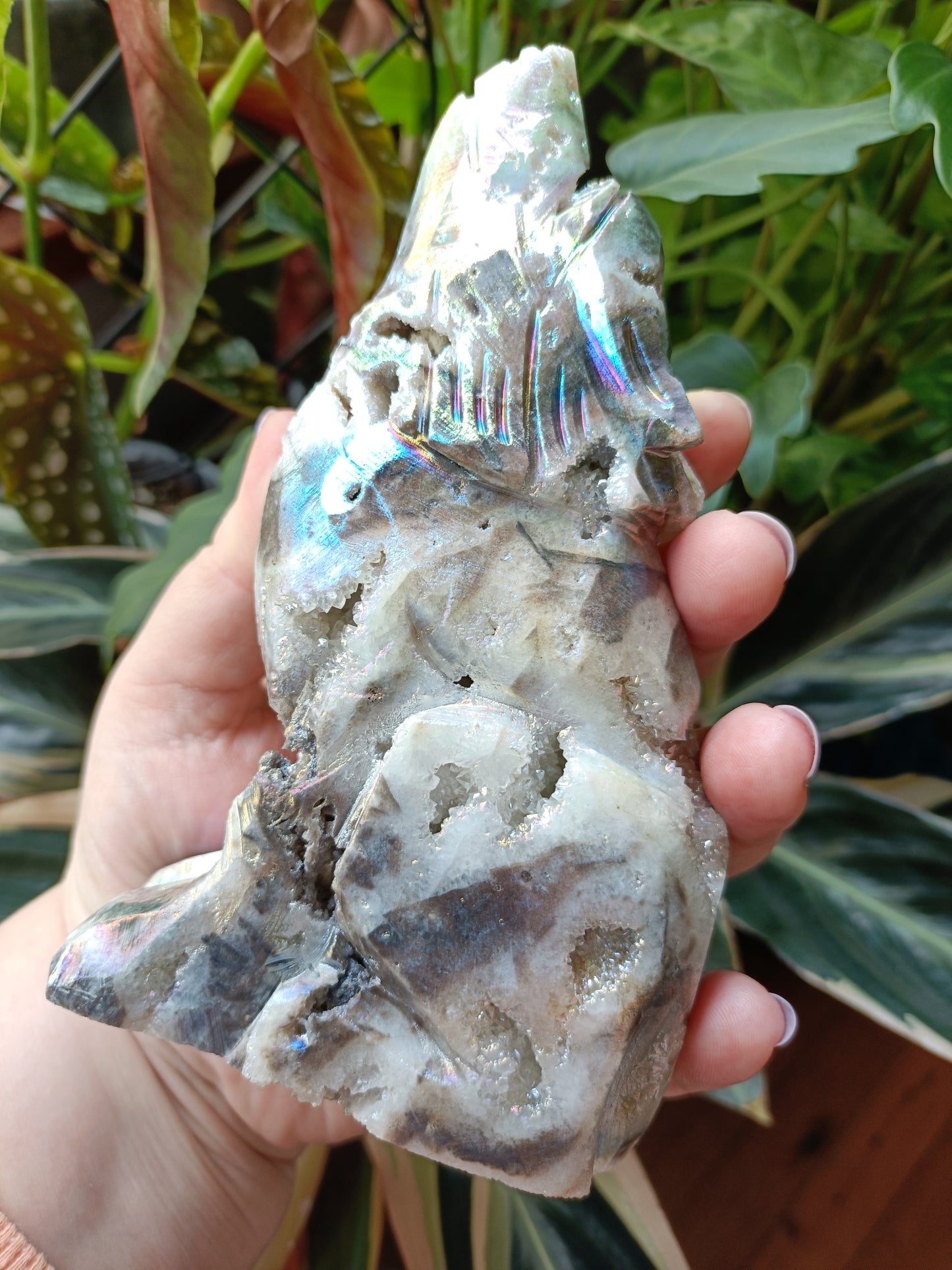 Aura Coated Brecciated Quartz Chalcedony Wolf - 668g