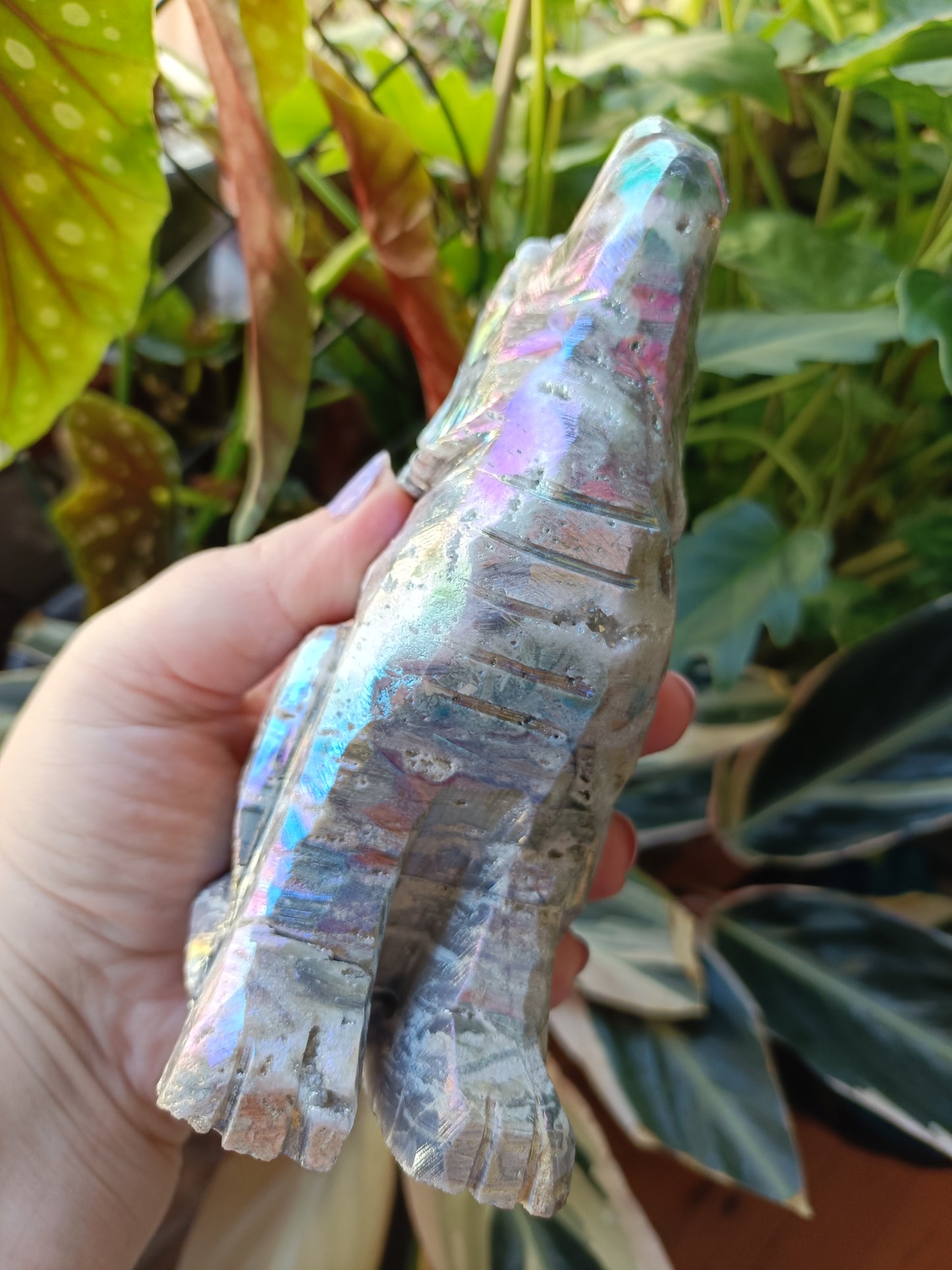 Aura Coated Brecciated Quartz Chalcedony Wolf - 787g