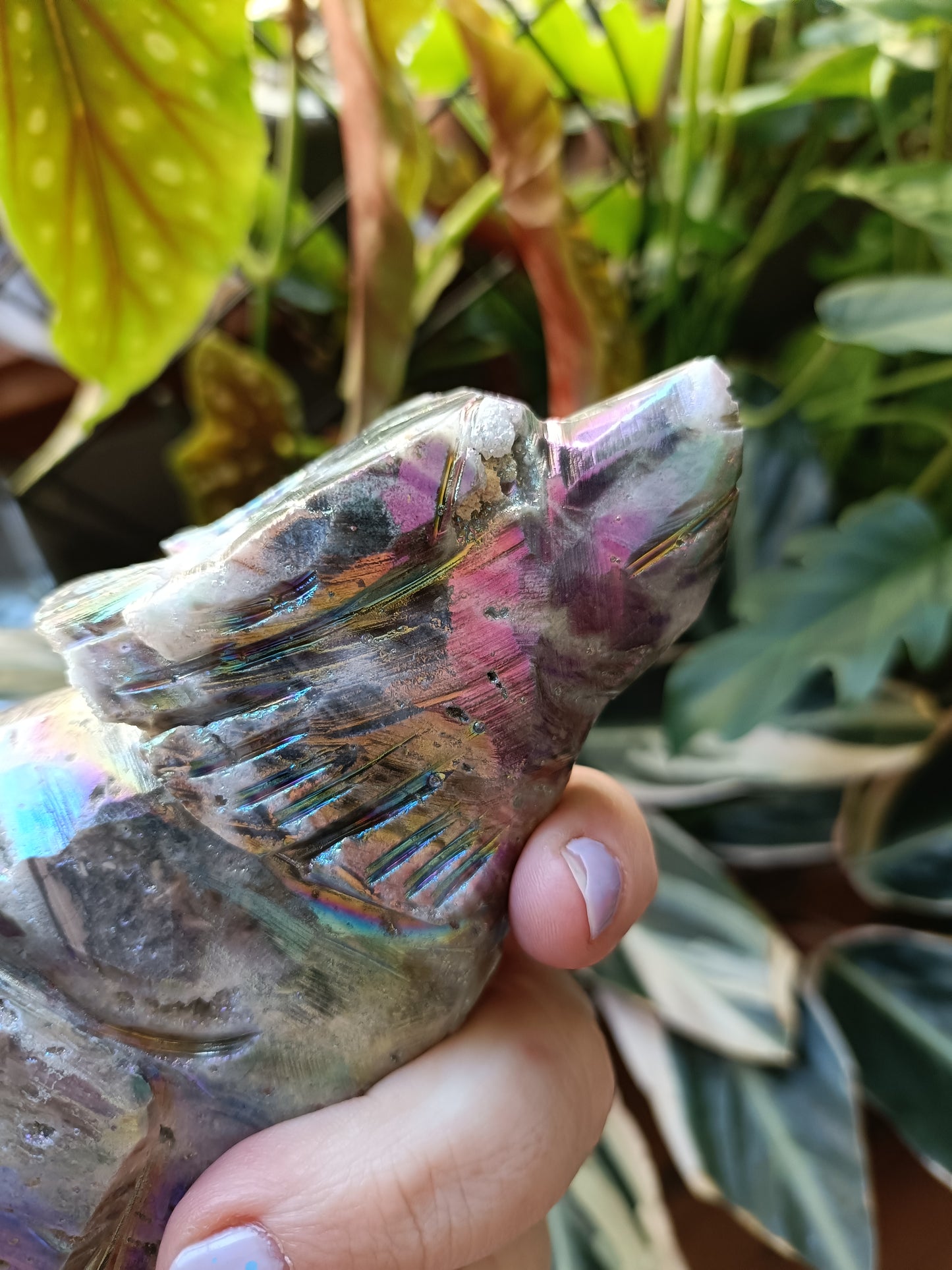 Aura Coated Brecciated Quartz Chalcedony Wolf - 787g