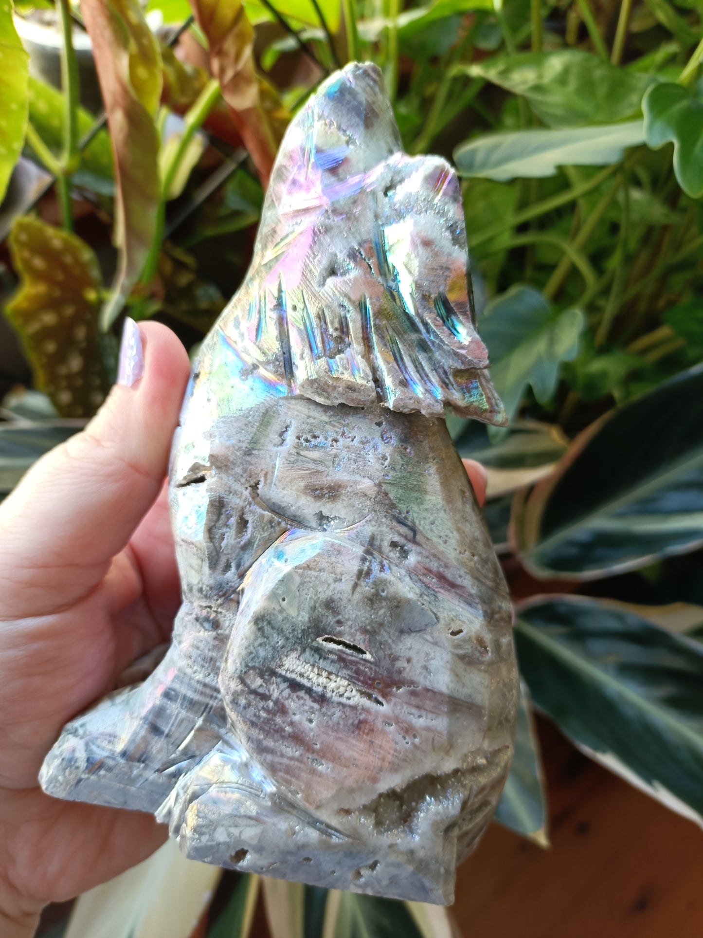Aura Coated Brecciated Quartz Chalcedony Wolf - 787g