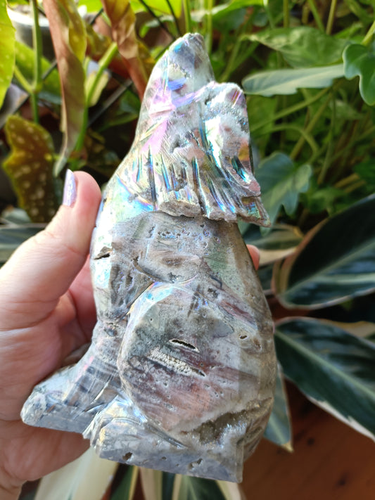 Aura Coated Brecciated Quartz Chalcedony Wolf - 787g