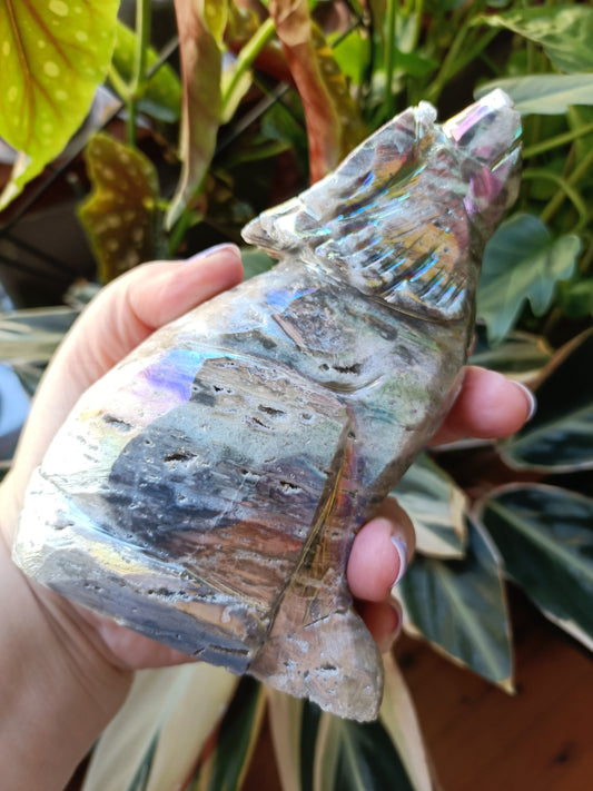Aura Coated Brecciated Quartz Chalcedony Wolf - 787g