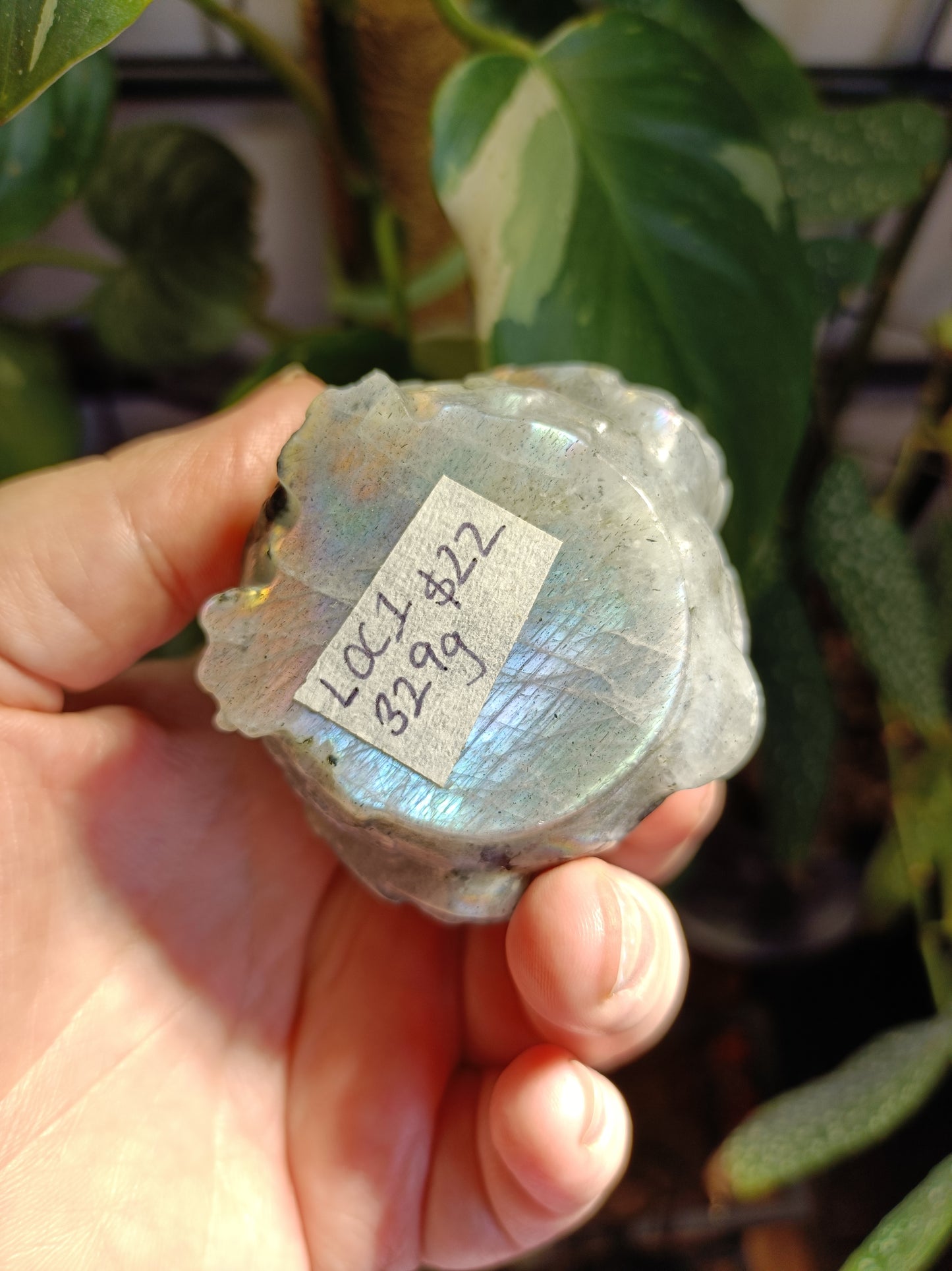 Labradorite Owl Carving - 329g