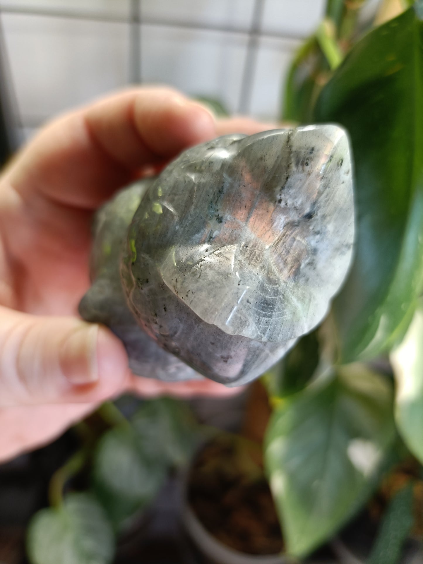 Labradorite Owl Carving - 329g