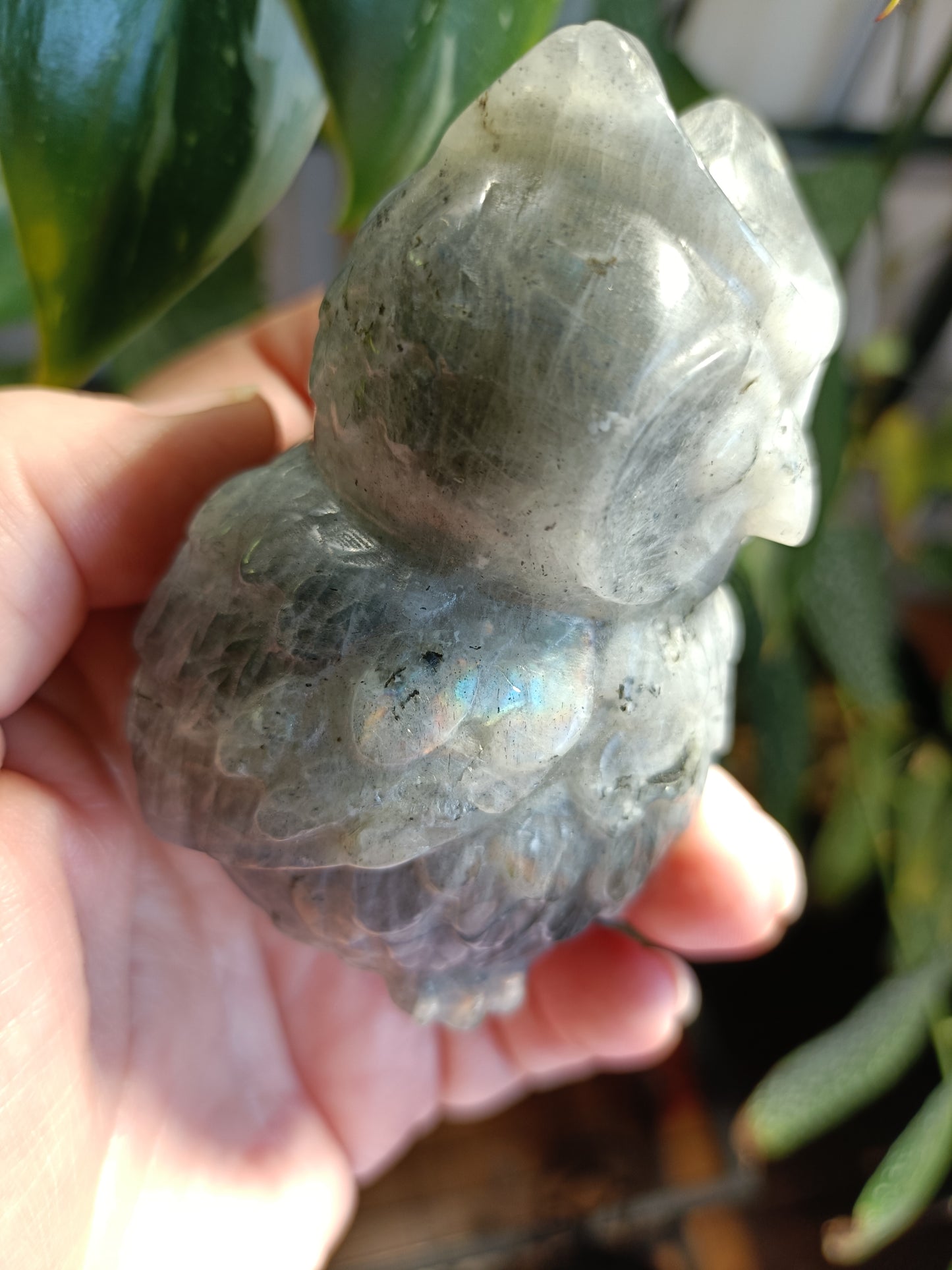 Labradorite Owl Carving - 329g