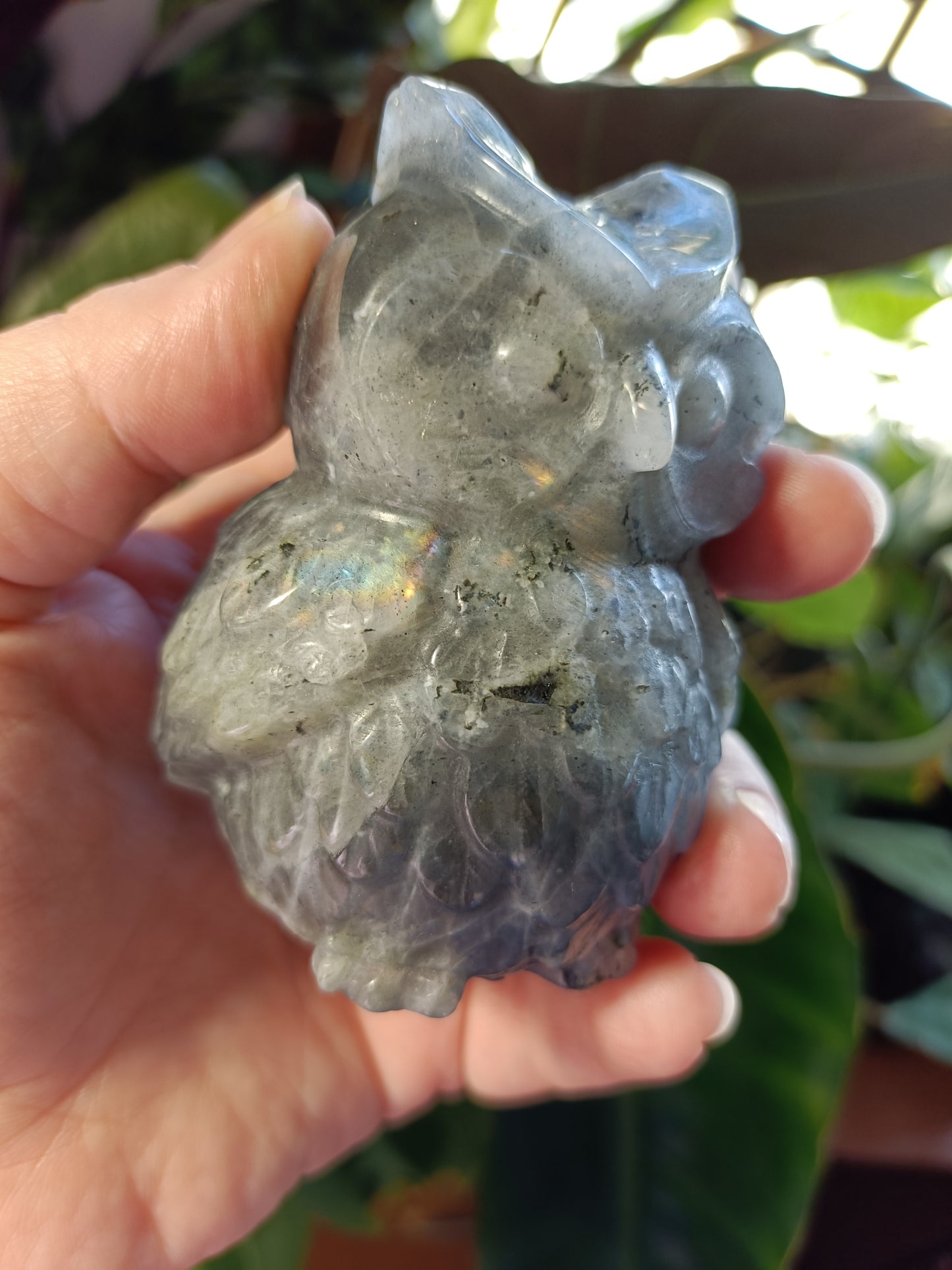 Labradorite Owl Carving - 329g