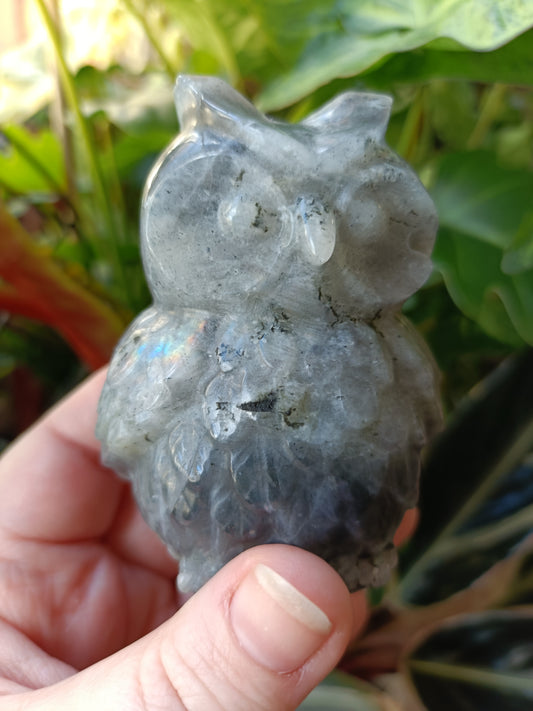 Labradorite Owl Carving - 329g
