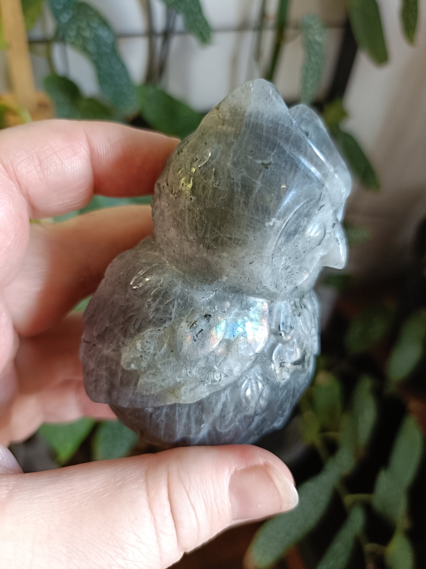 Labradorite Owl Carving - 329g