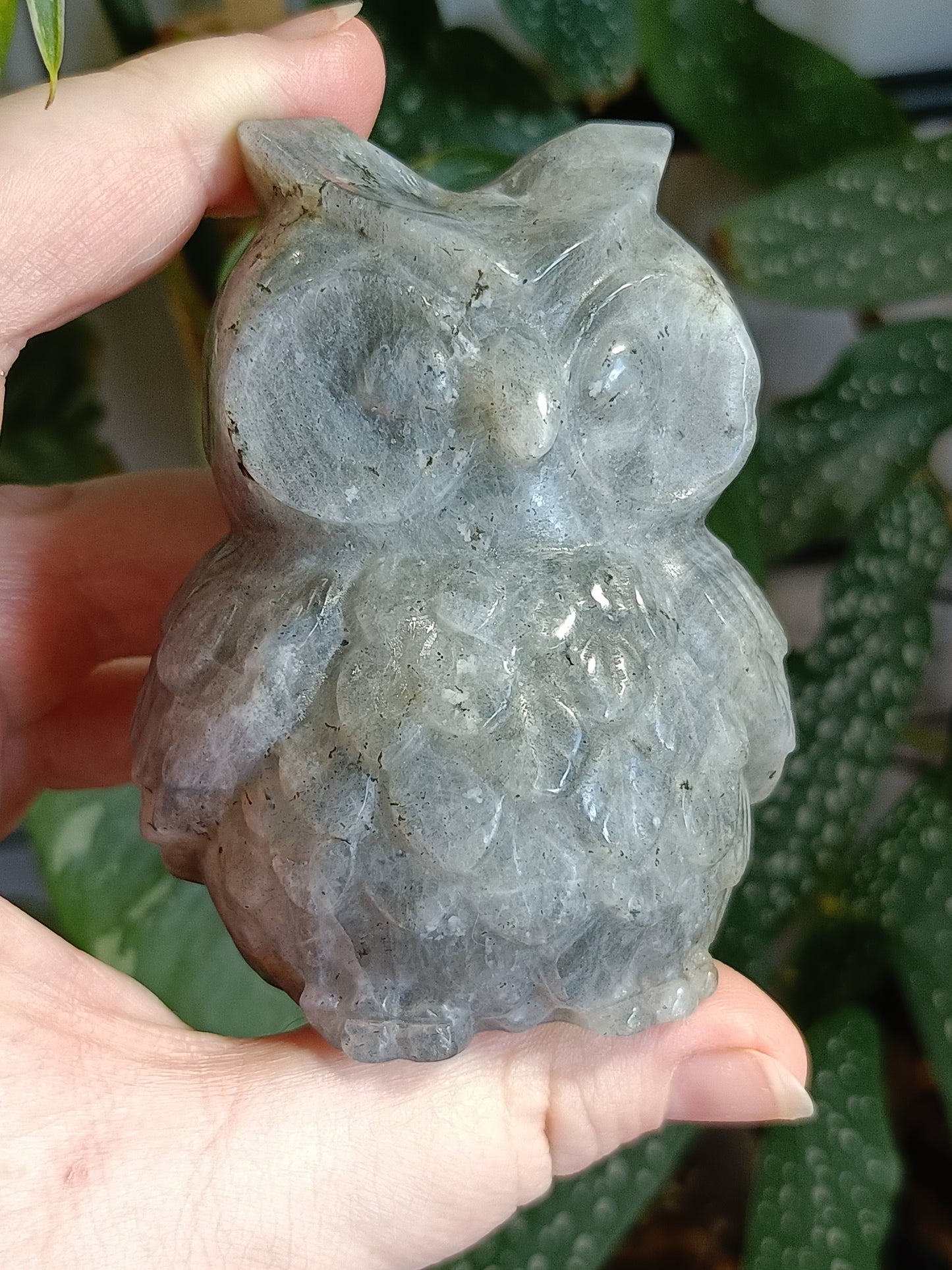 Labradorite Owl Carving - 358g