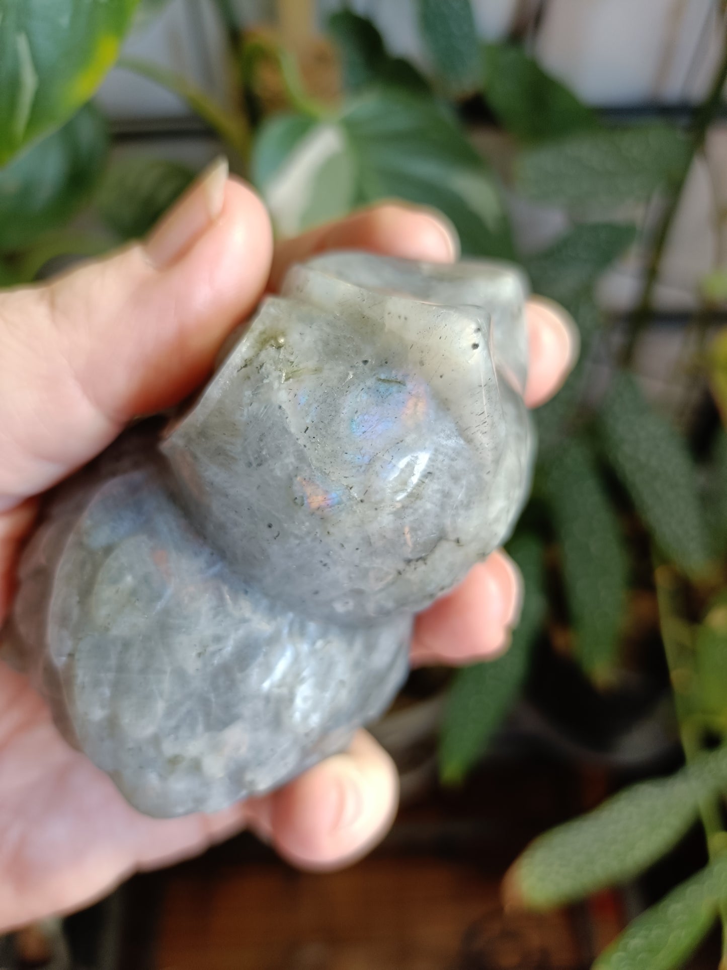 Labradorite Owl Carving - 358g