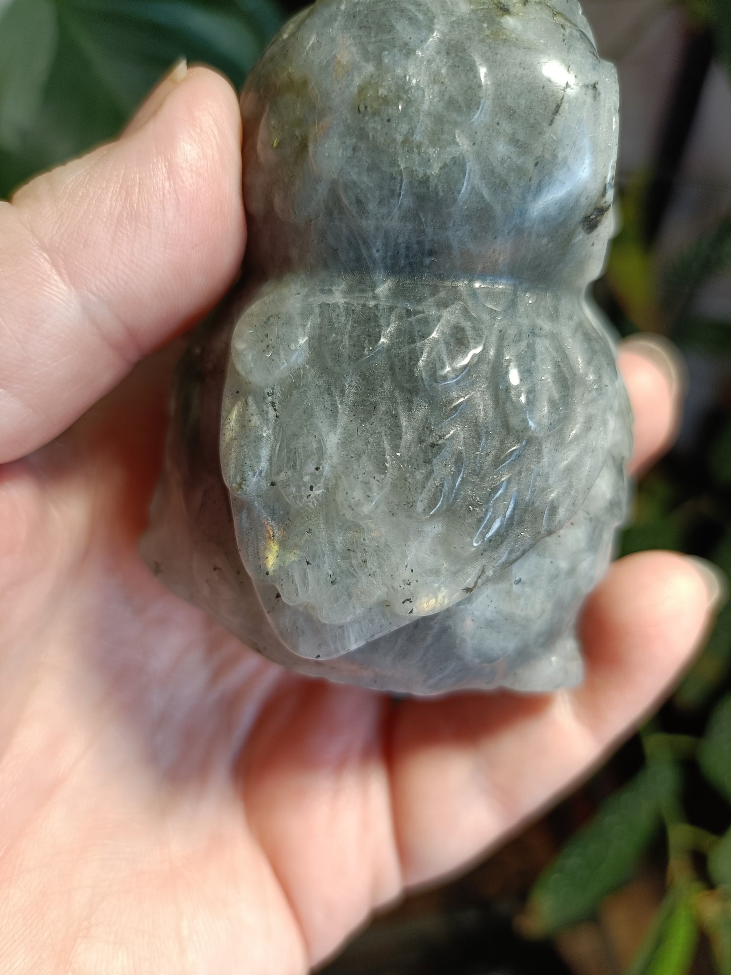 Labradorite Owl Carving - 358g