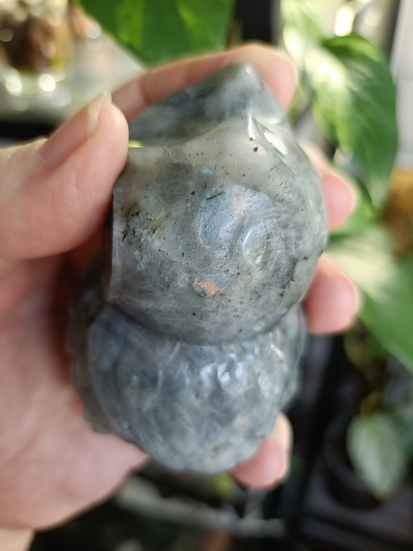 Labradorite Owl Carving - 358g