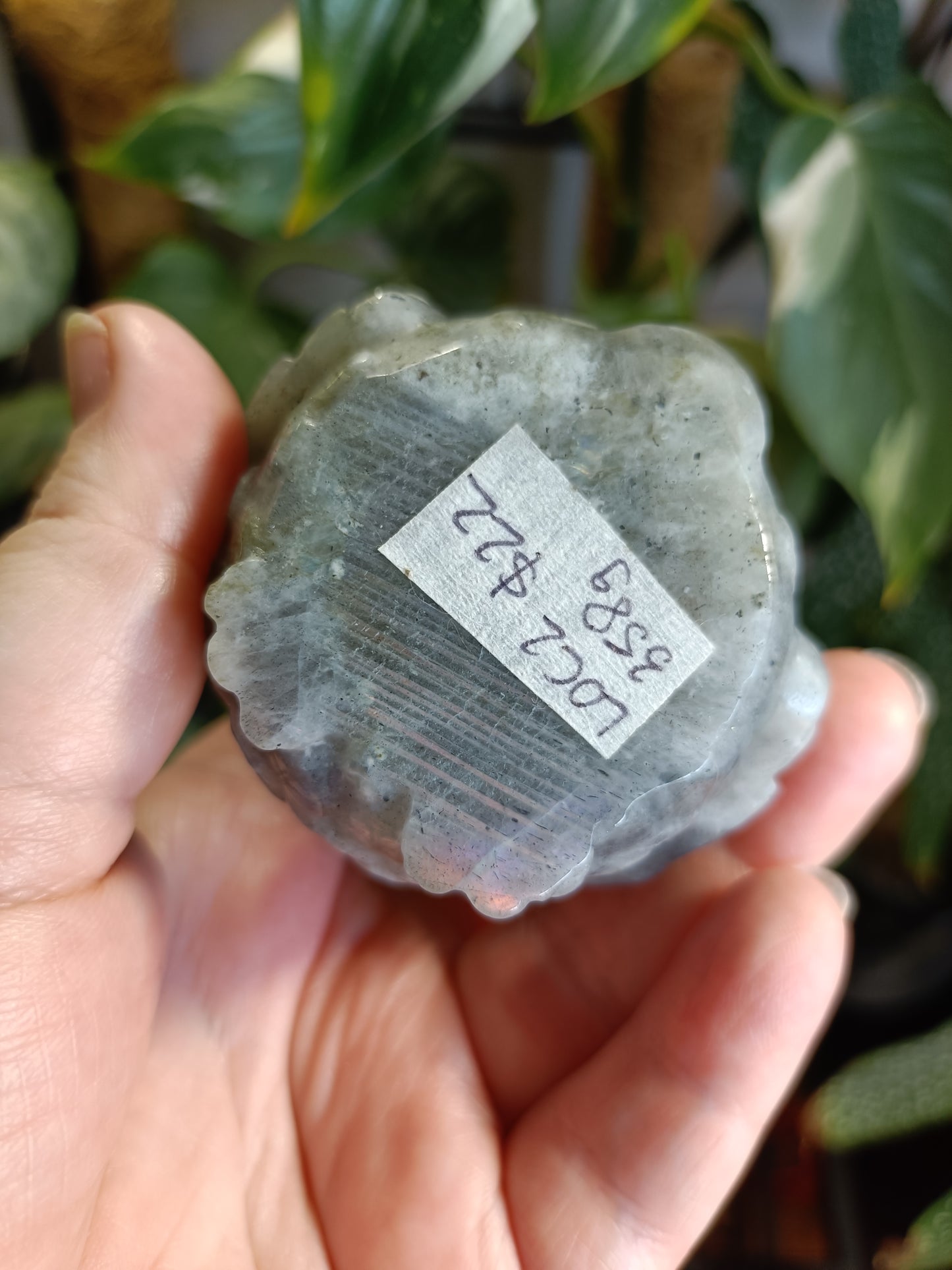 Labradorite Owl Carving - 358g