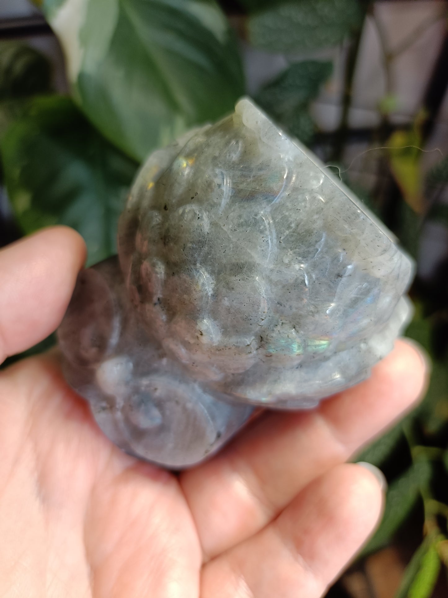 Labradorite Owl Carving - 377g